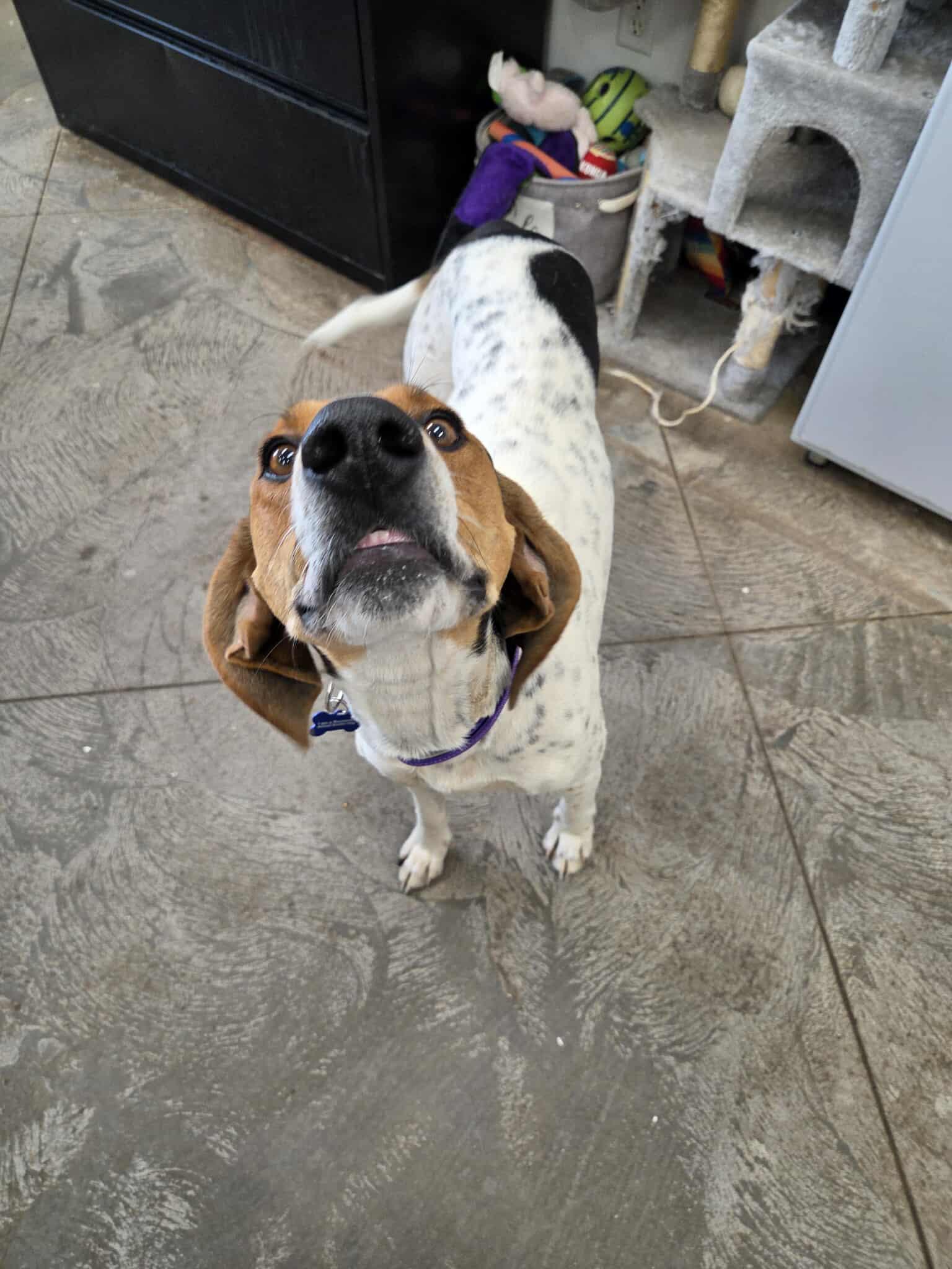 Lucy