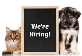 Enlarge HELP WANTED!!, an adoptable mixed breed in Madison Heights, MI image 1/2