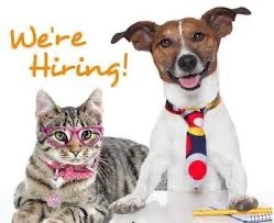 HELP WANTED!! photo 2