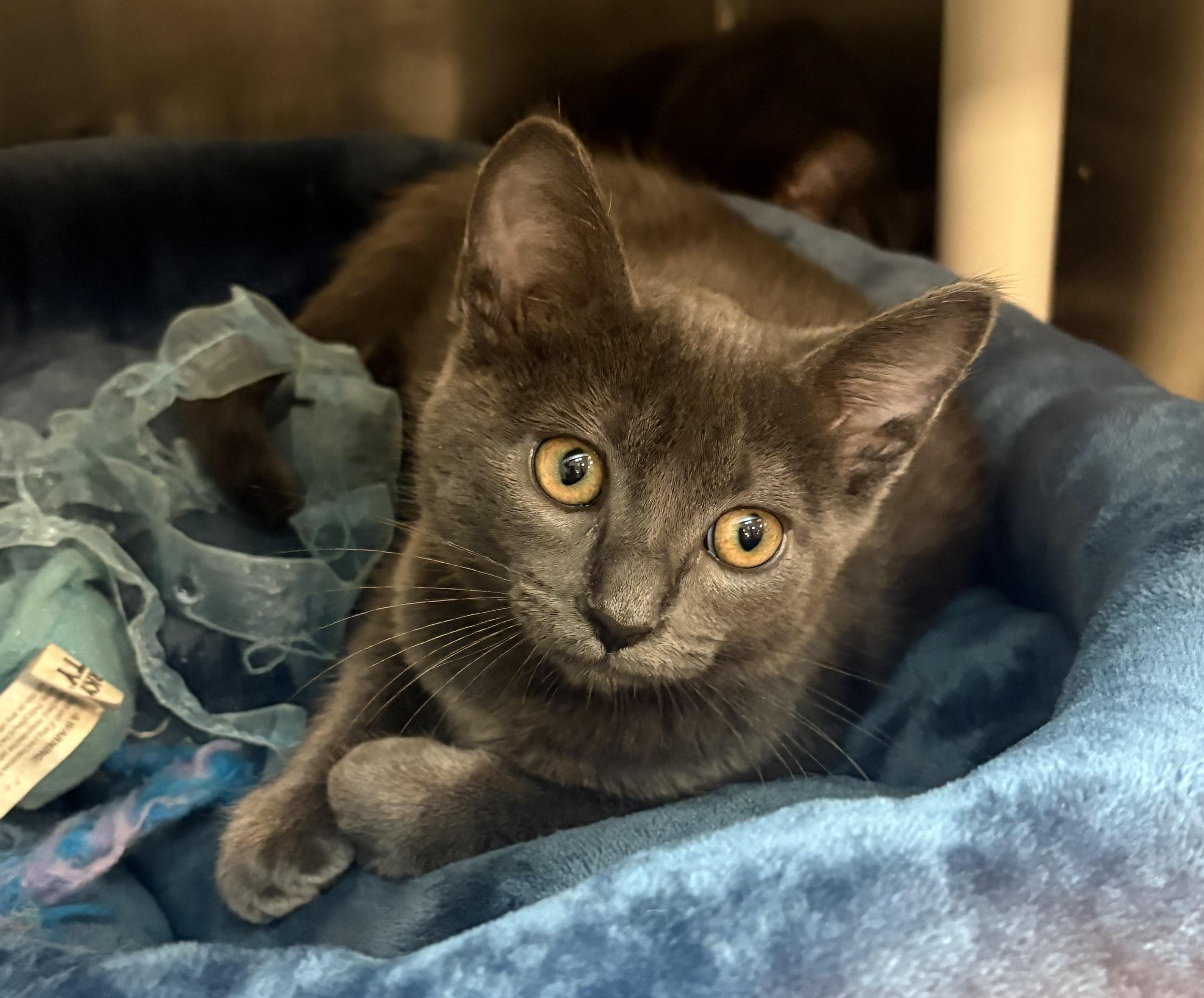 Luna