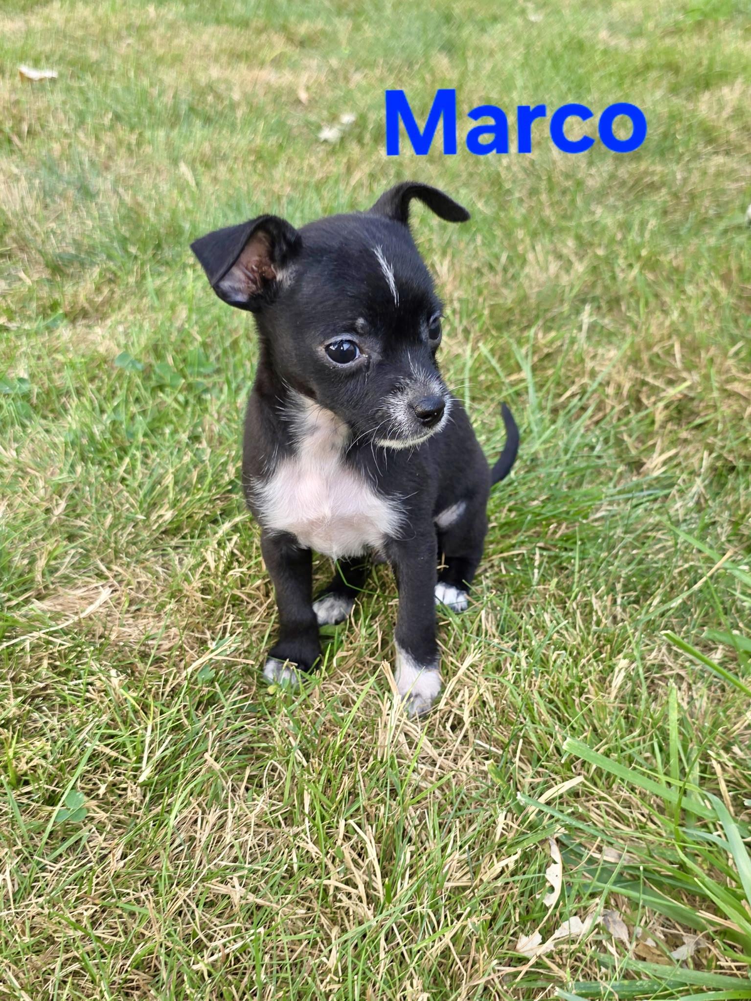 Mille and her brothers photo 6