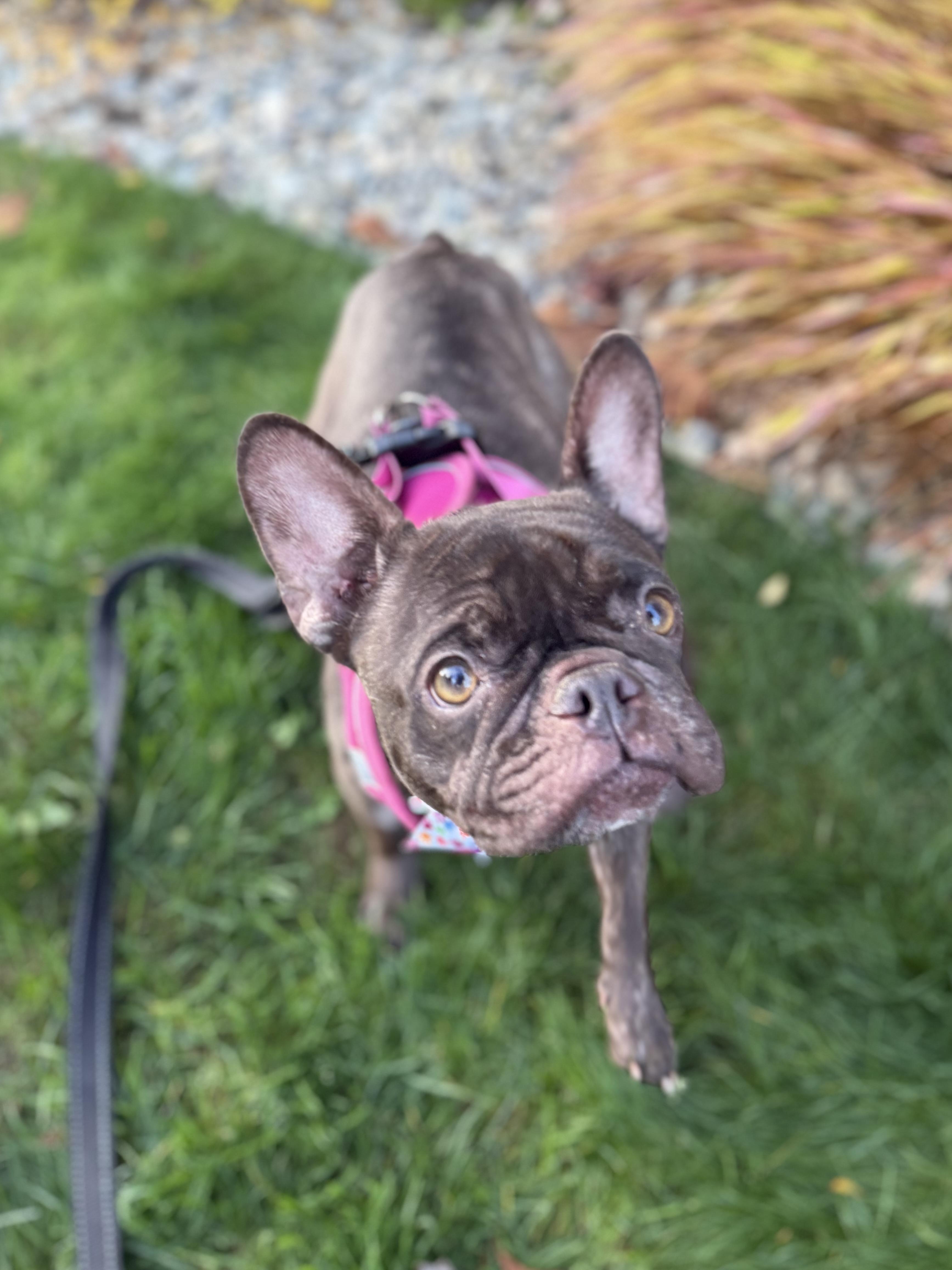 Samantha thumbnail 2