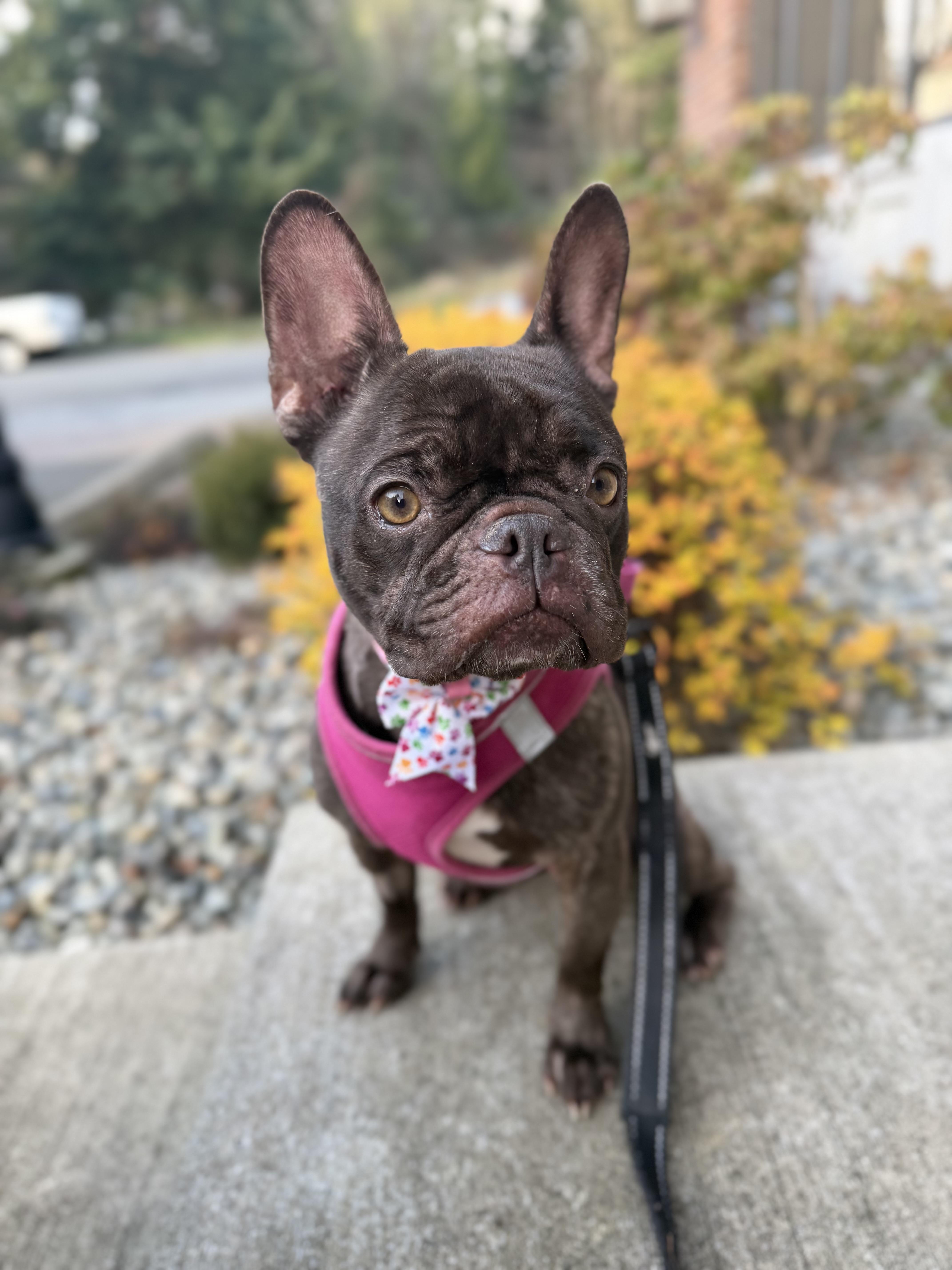 Samantha thumbnail 3