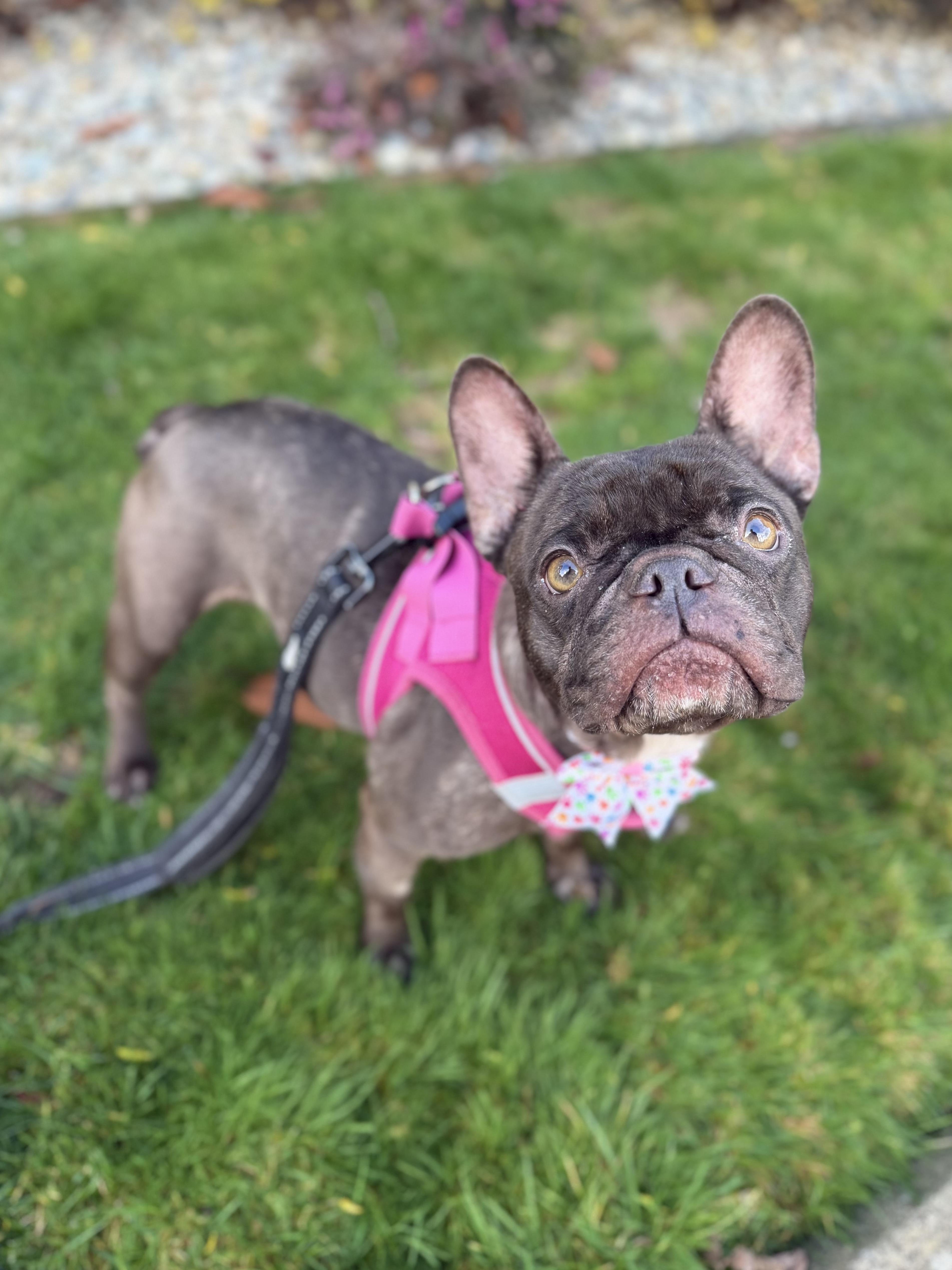 Samantha thumbnail 4