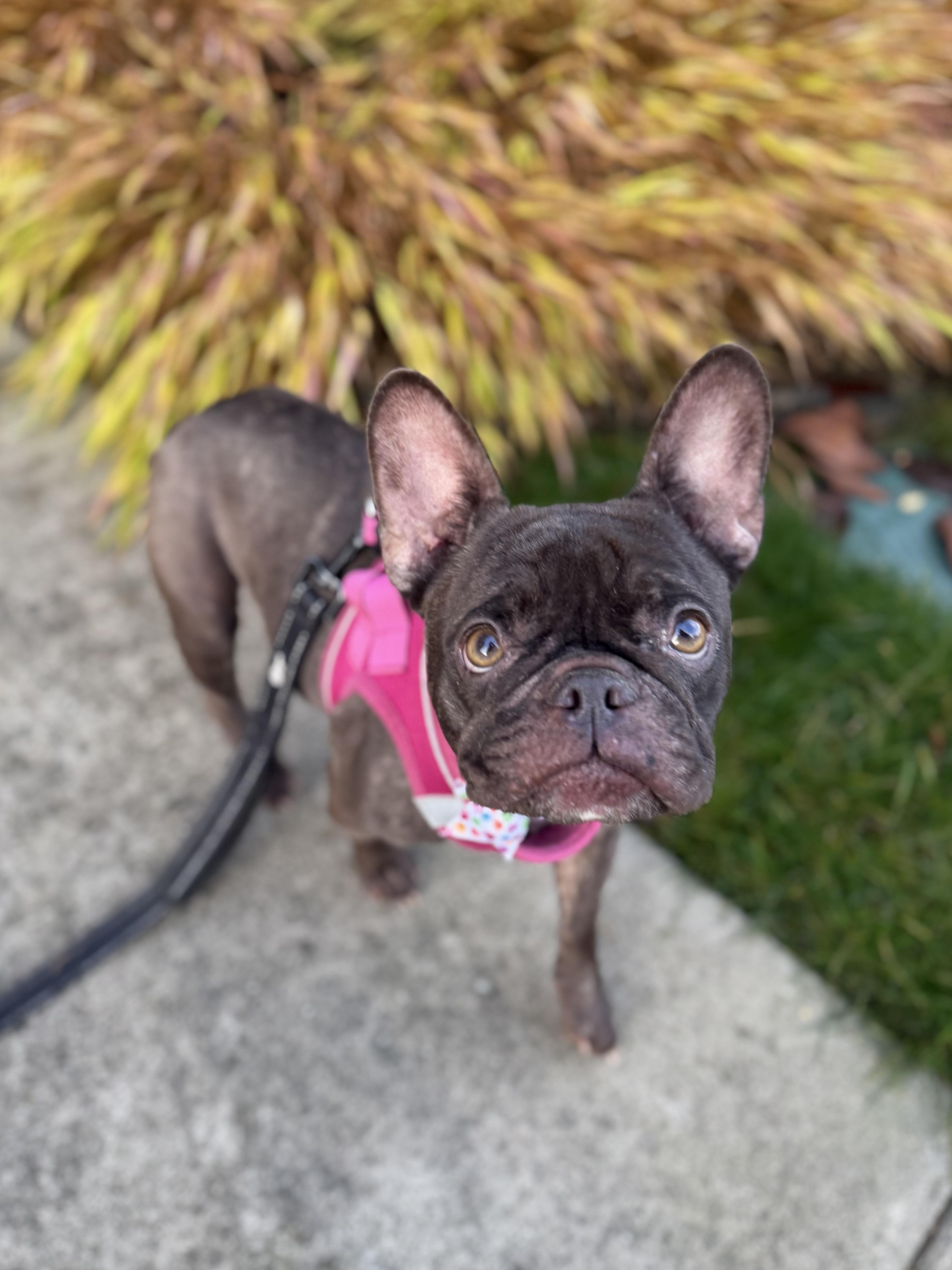 Samantha thumbnail 5