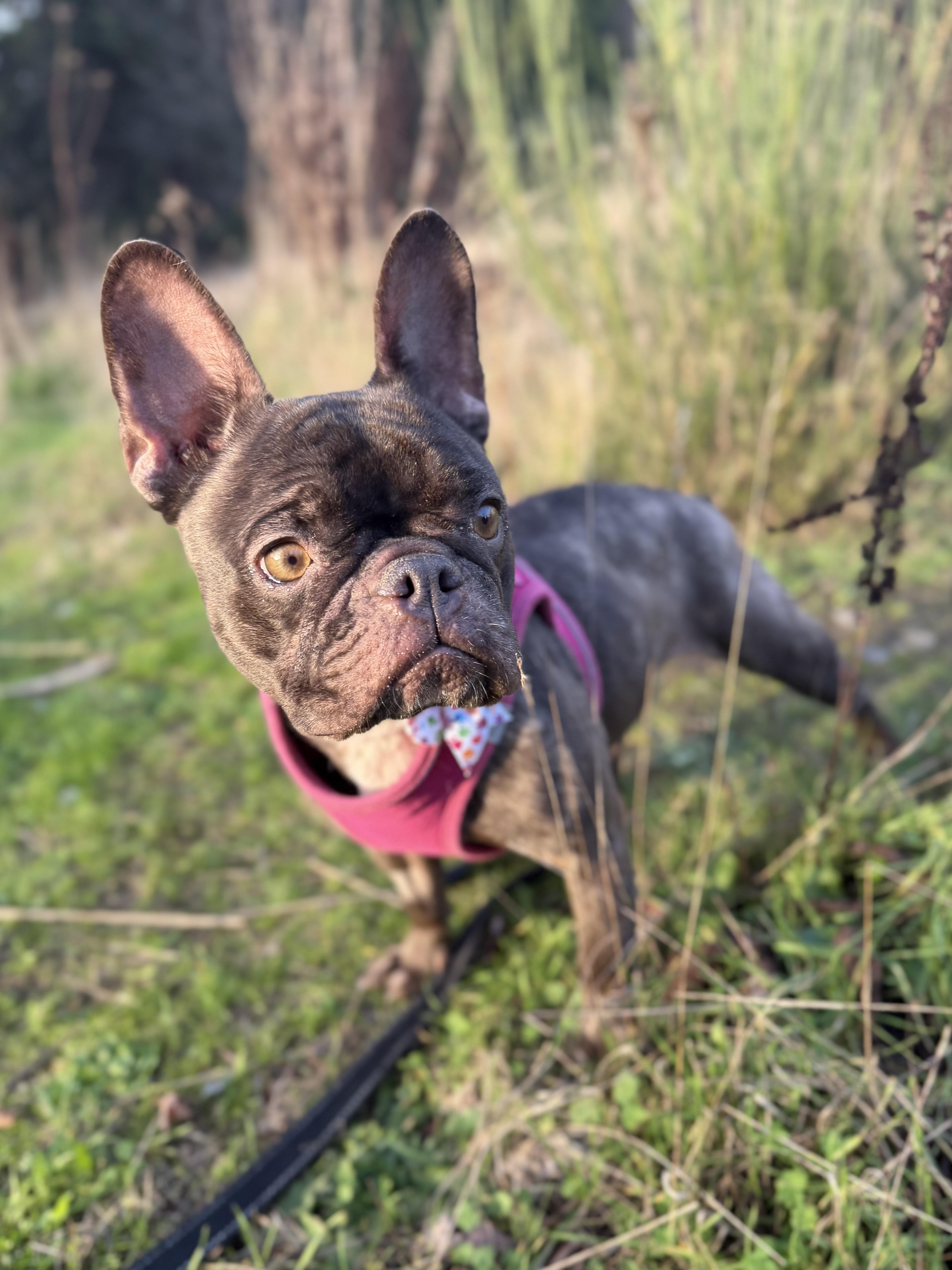 Samantha thumbnail 6