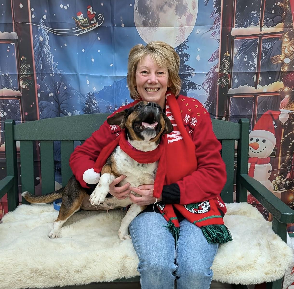 Ginny, an adoptable mixed breed in Elyria, OH image 1/4