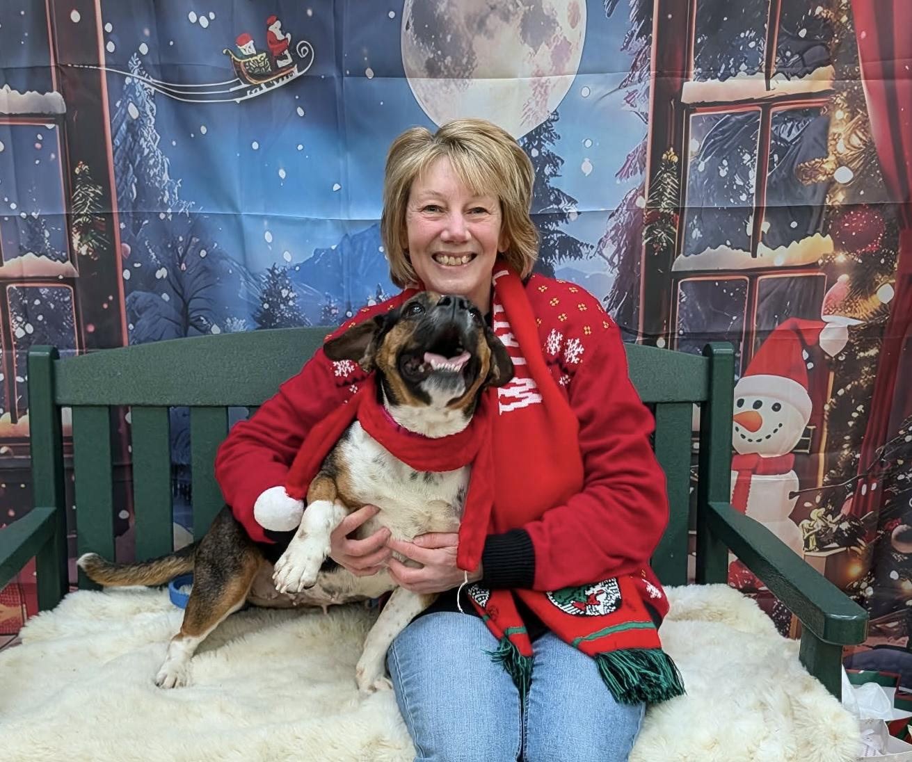 Ginny, an adoptable mixed breed in Elyria, OH image 2/4