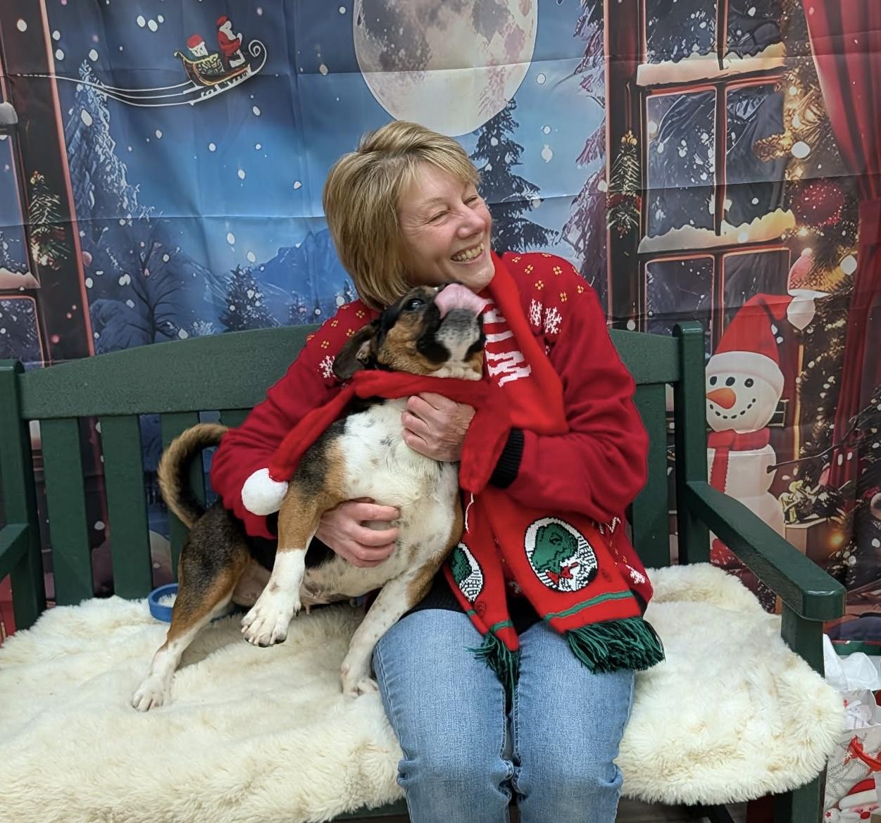 Ginny, an adoptable mixed breed in Elyria, OH image 3/4