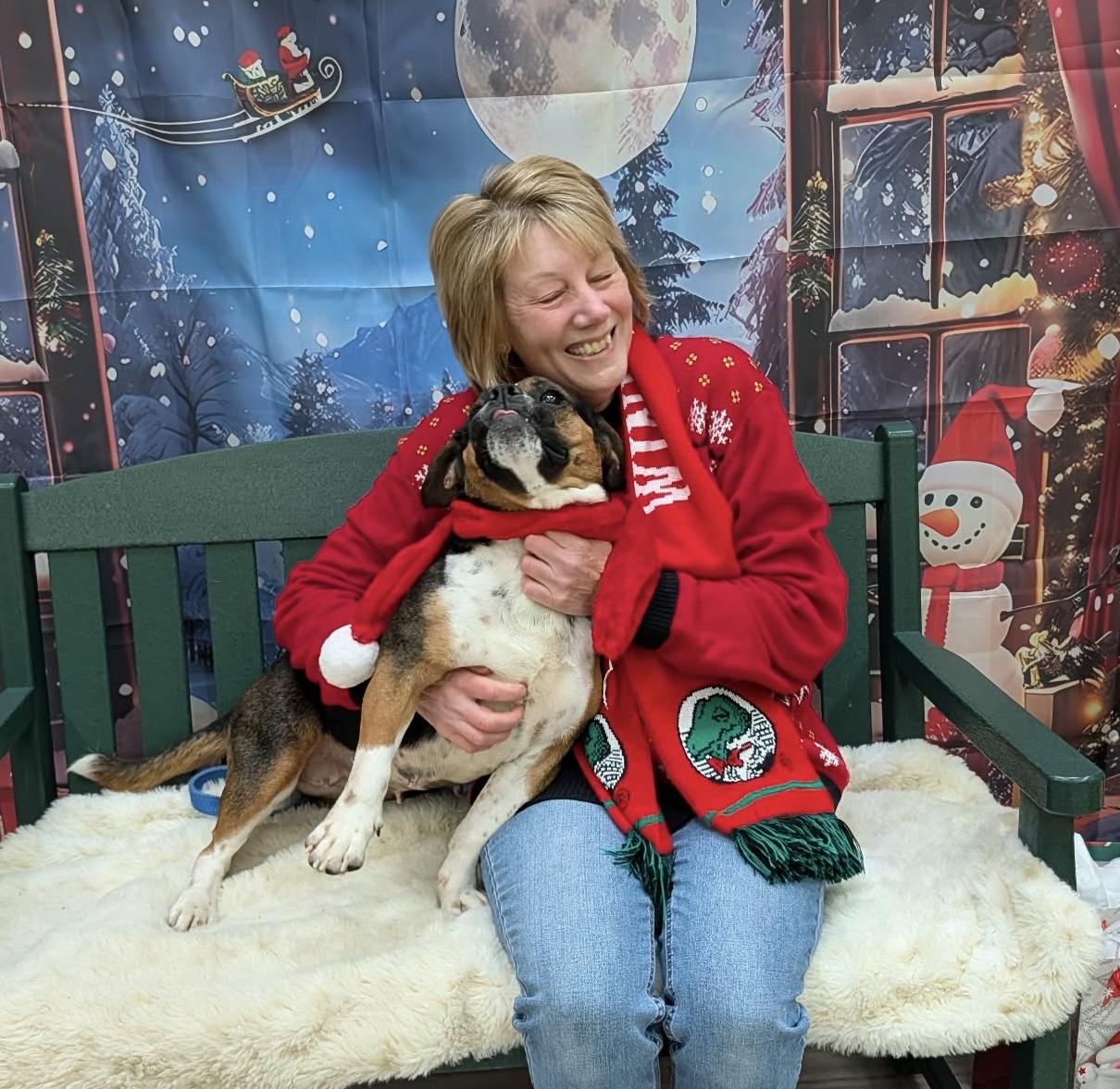 Ginny, an adoptable mixed breed in Elyria, OH image 4/4