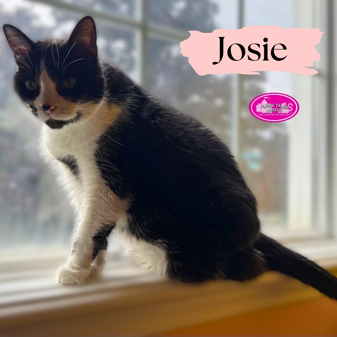 Josie