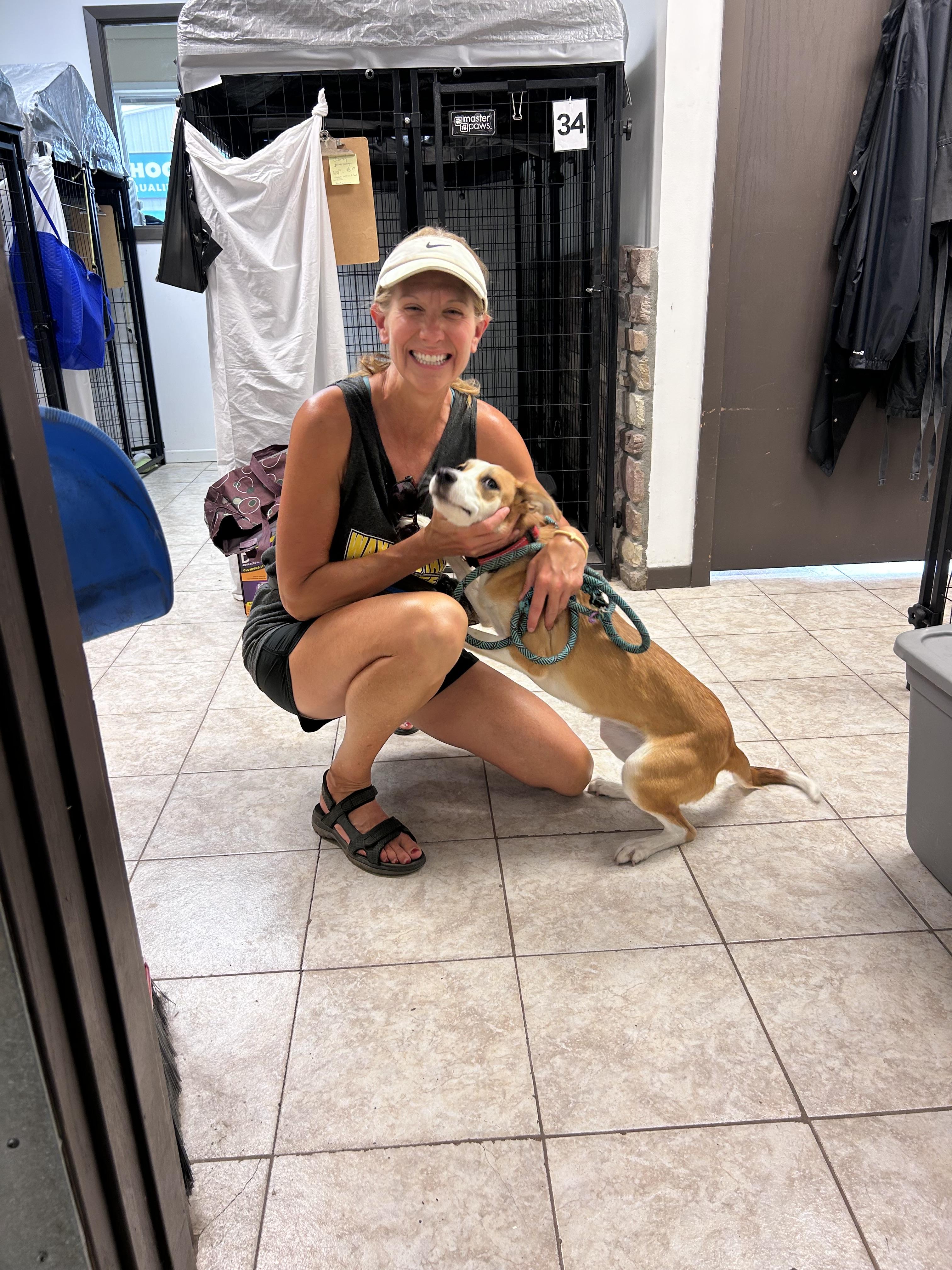 Charli, a ADOPTABLE Terrier in Wahoo, NE image 2/3