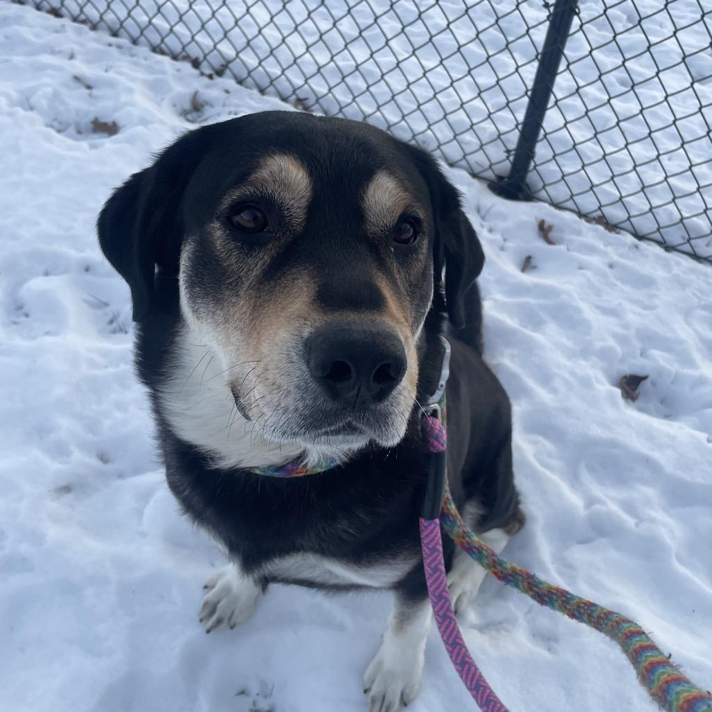 Victory — thumbnail 2