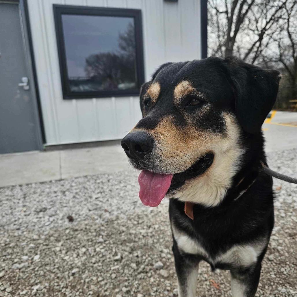 Victory — thumbnail 3