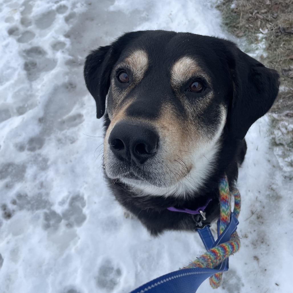 Victory — thumbnail 5