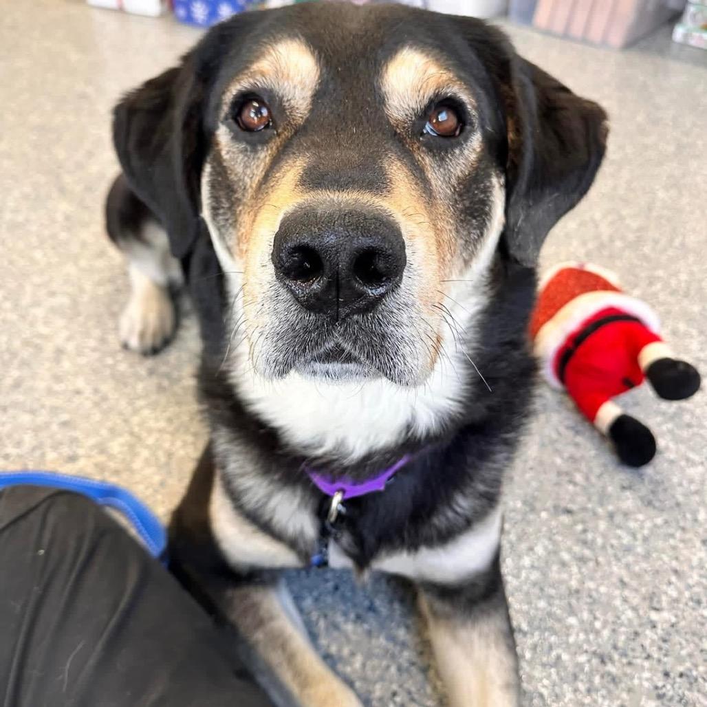 Victory — thumbnail 6