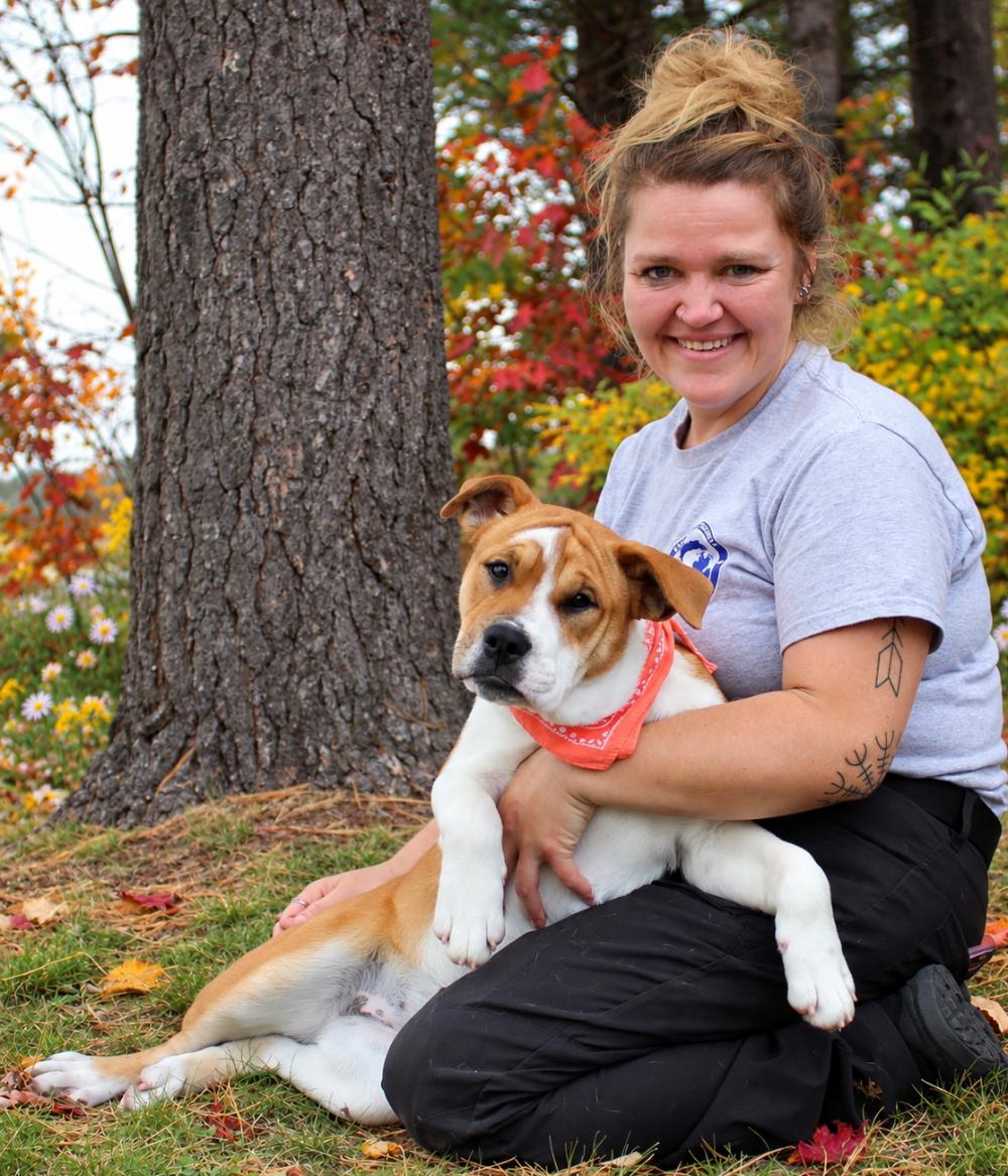 Enlarge Gibbs, a Adoptable Mixed Breed in Cheboygan, MI image 3/6