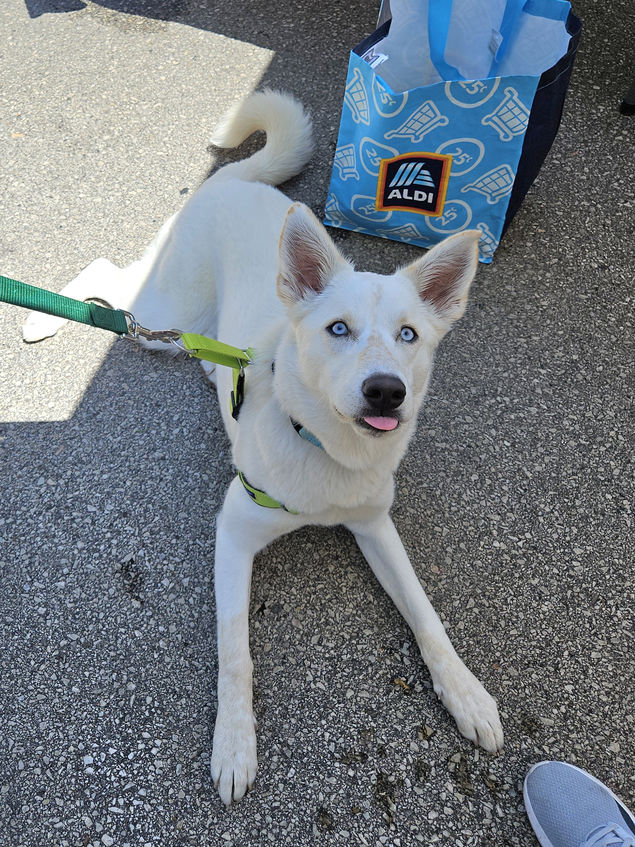TOBY    $400 6