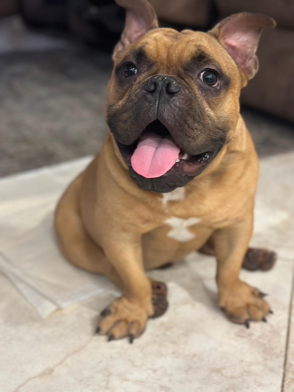 Franklin