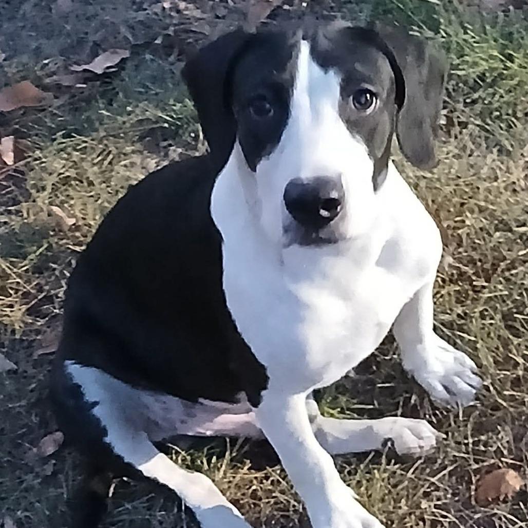 Buddy photo