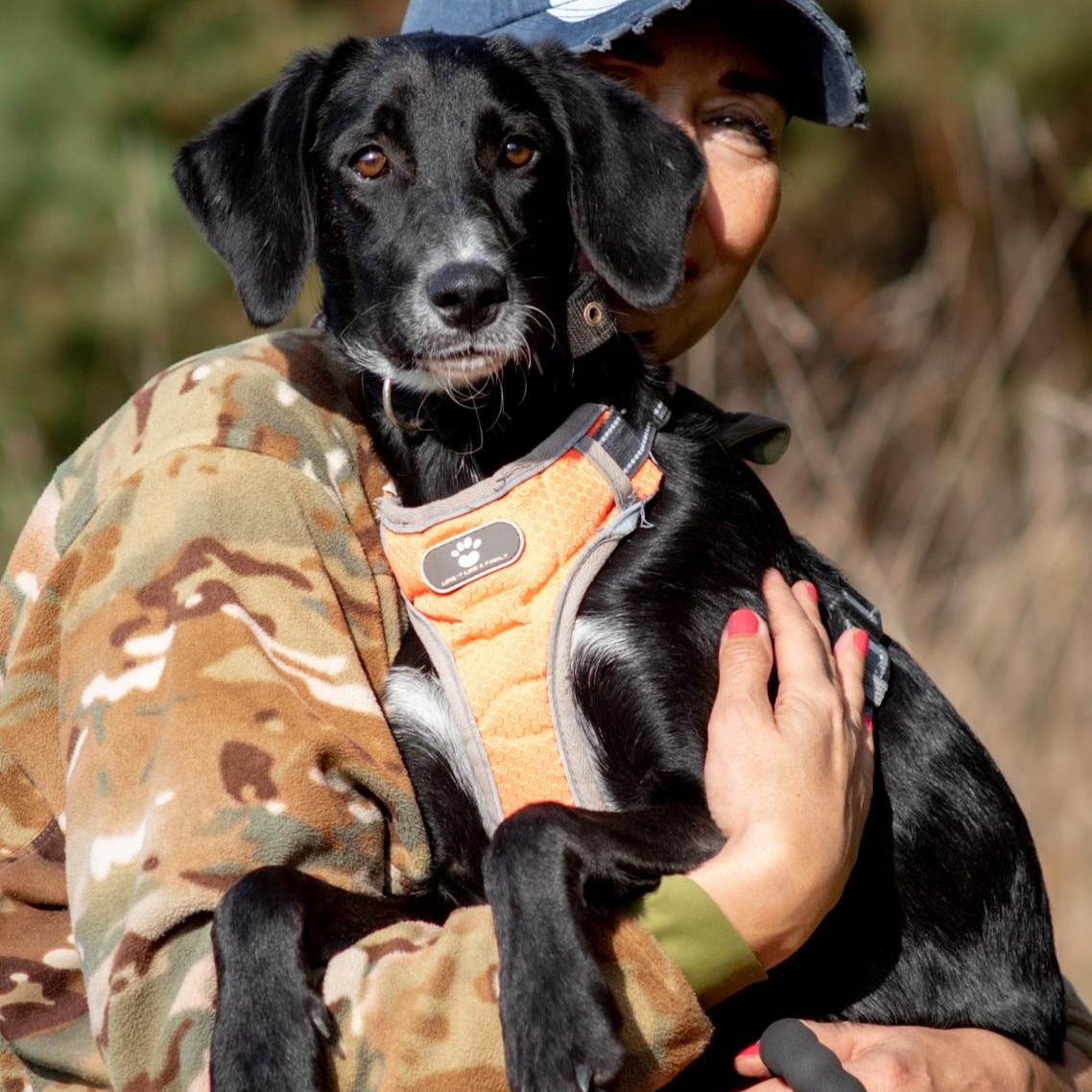 Enlarge Kira, a Adoptable mixed breed in Morristown, NJ image 2/6