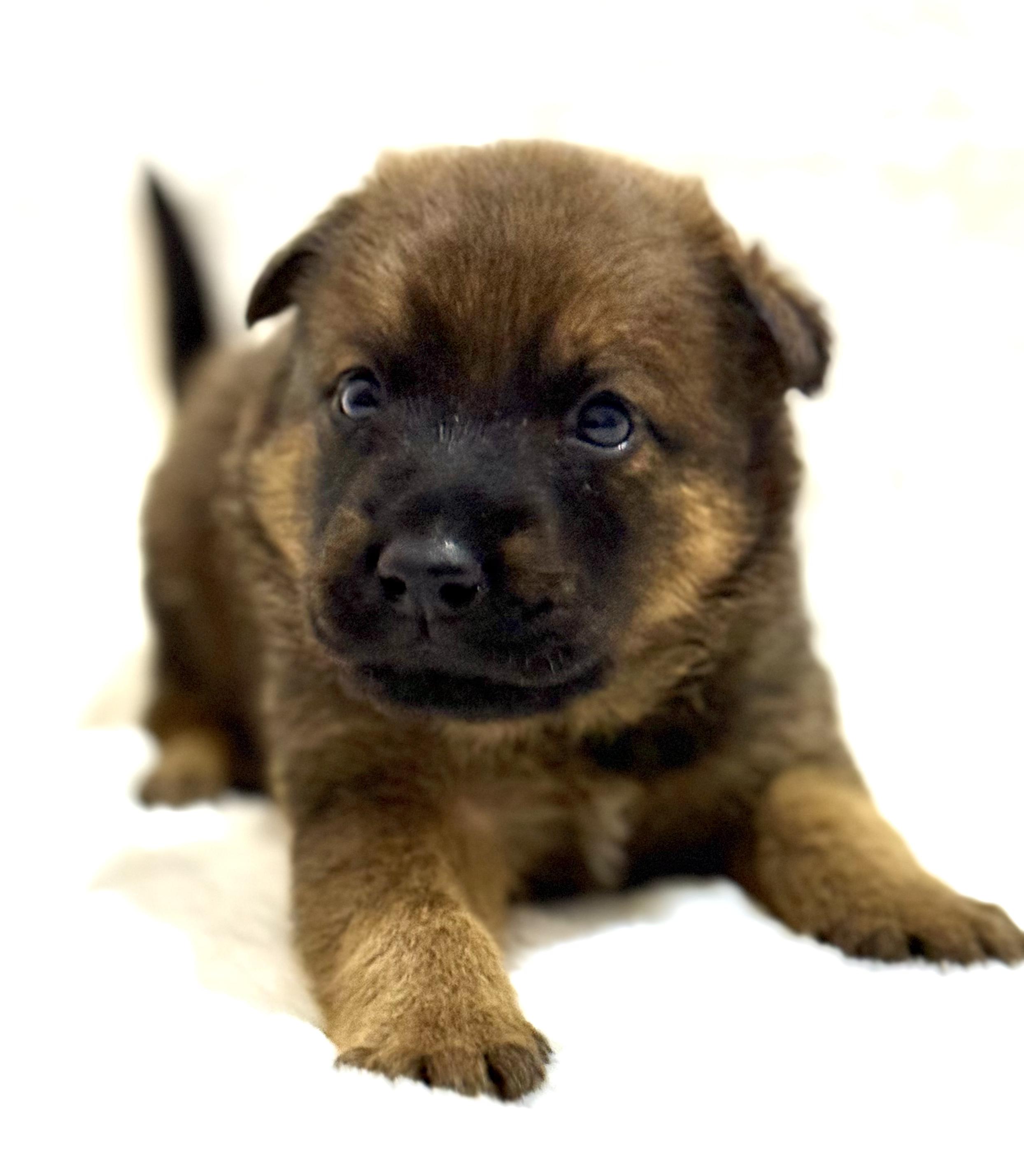 Mary — thumbnail 2