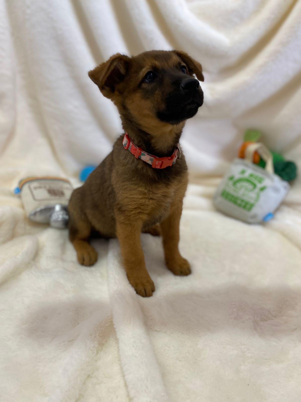 Mary — thumbnail 4