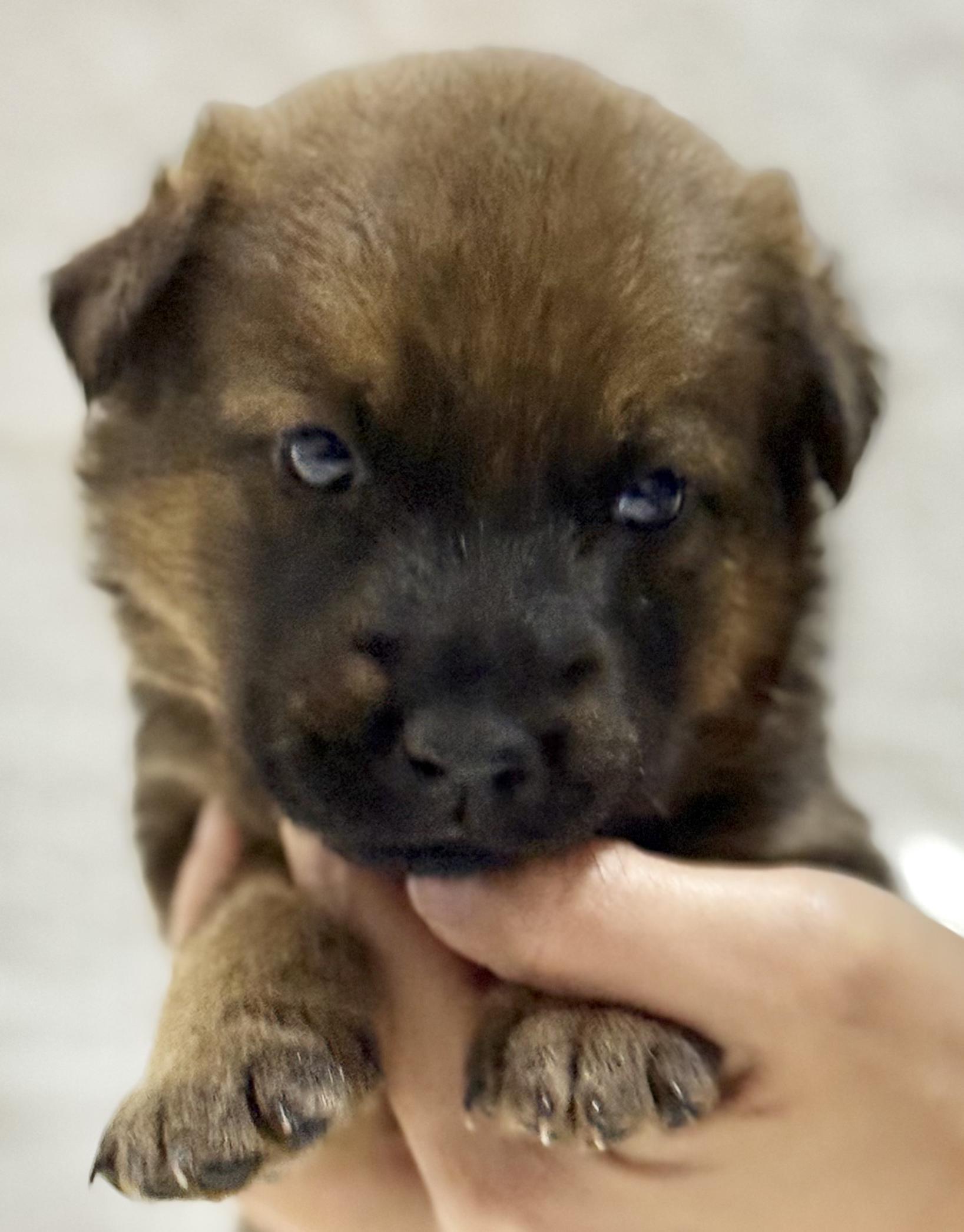 Mary — thumbnail 5