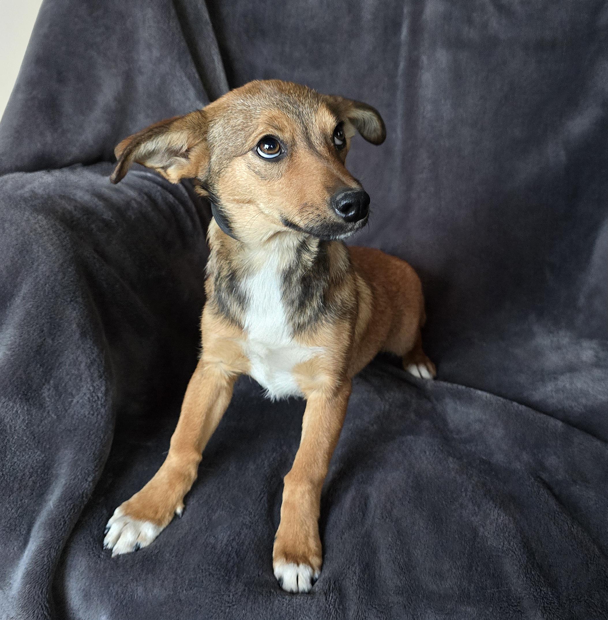 Delightful Lil Ms Divinia thumbnail 3