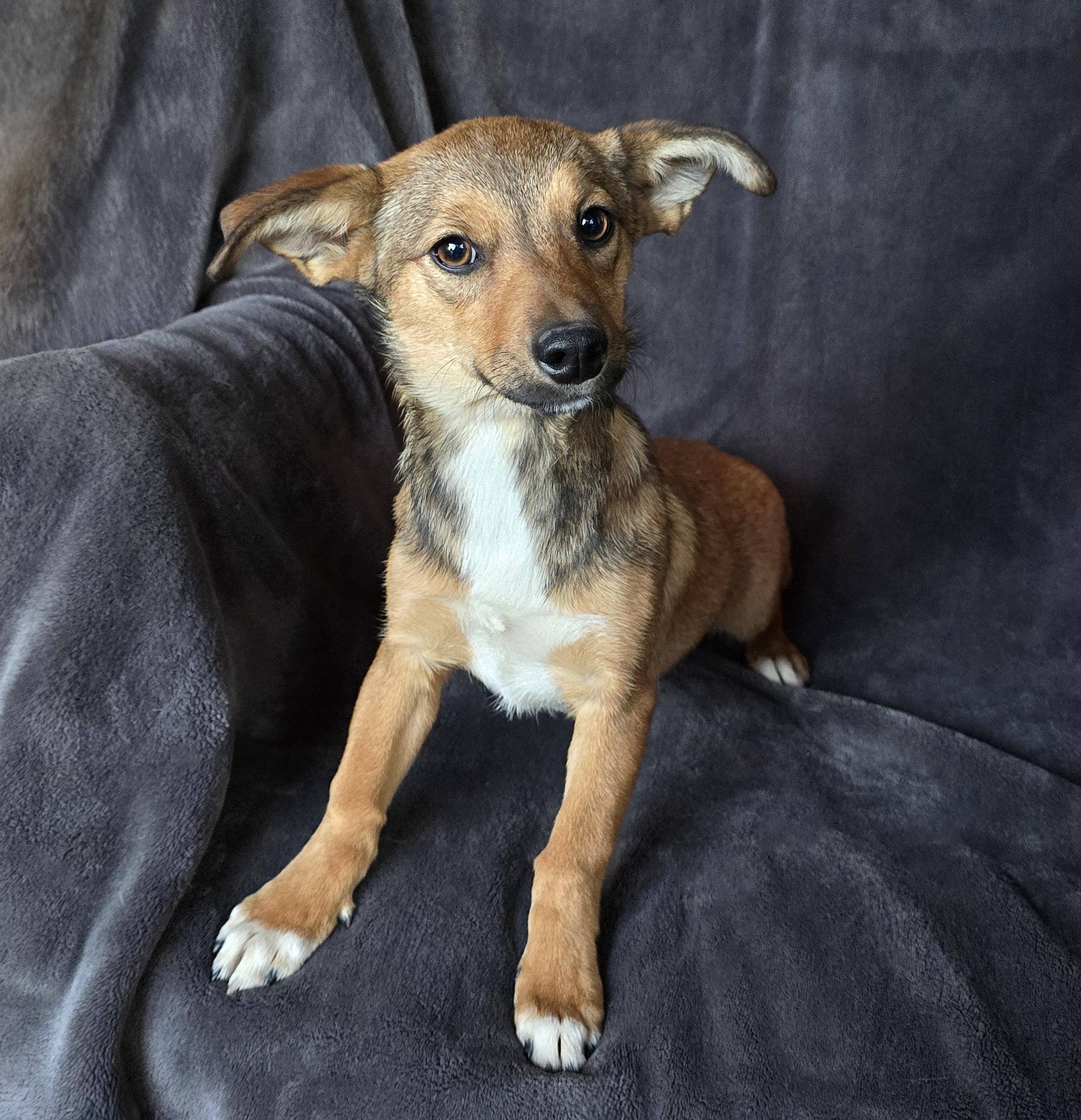 Delightful Lil Ms Divinia thumbnail 2