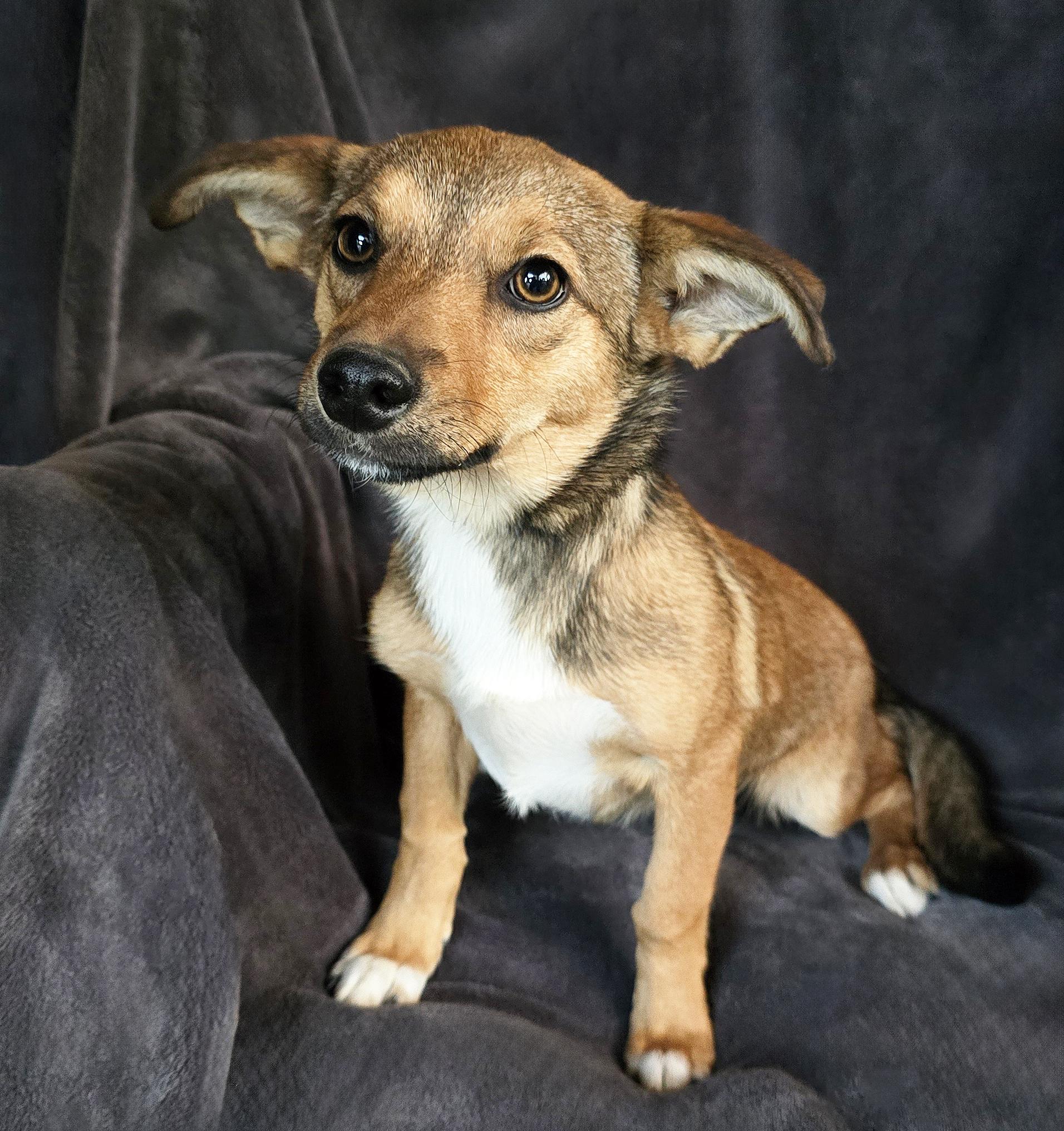 Delightful Lil Ms Divinia thumbnail 4