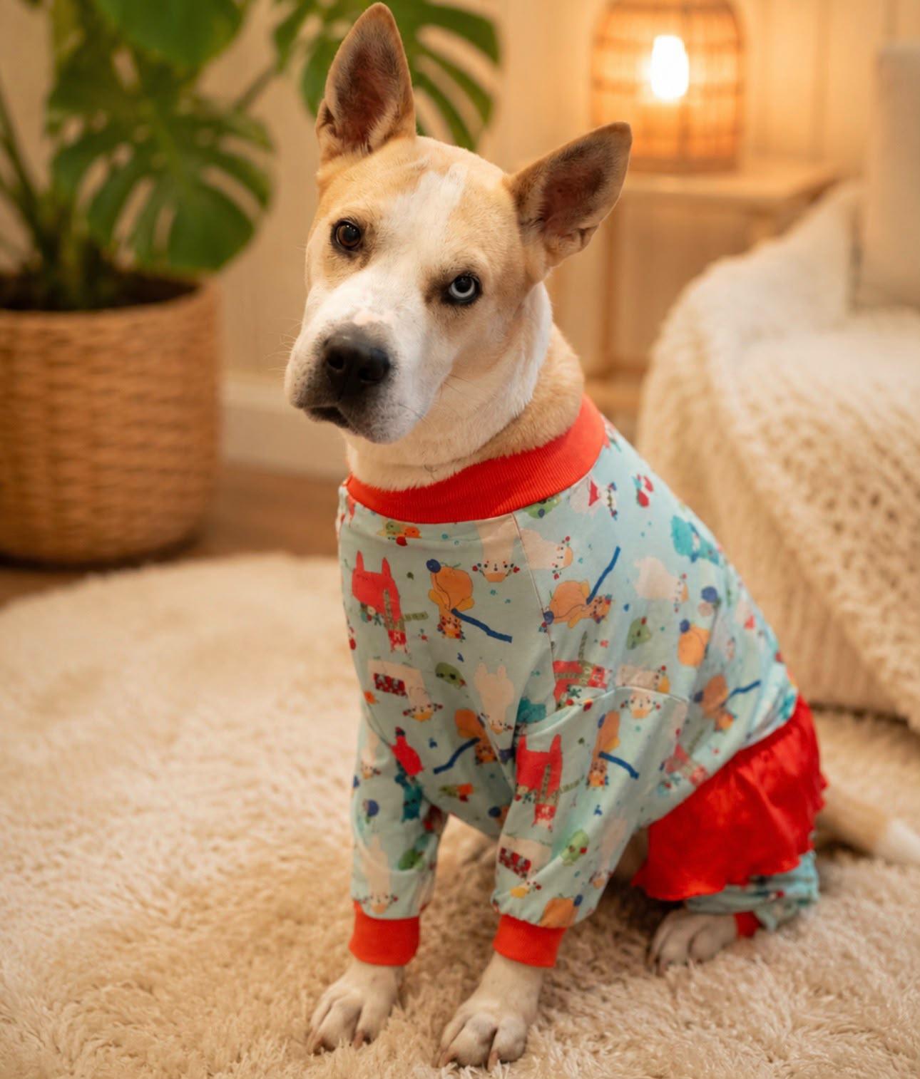 Enlarge Bunny, a Adoptable mixed breed in Missoula, MT image 3/6