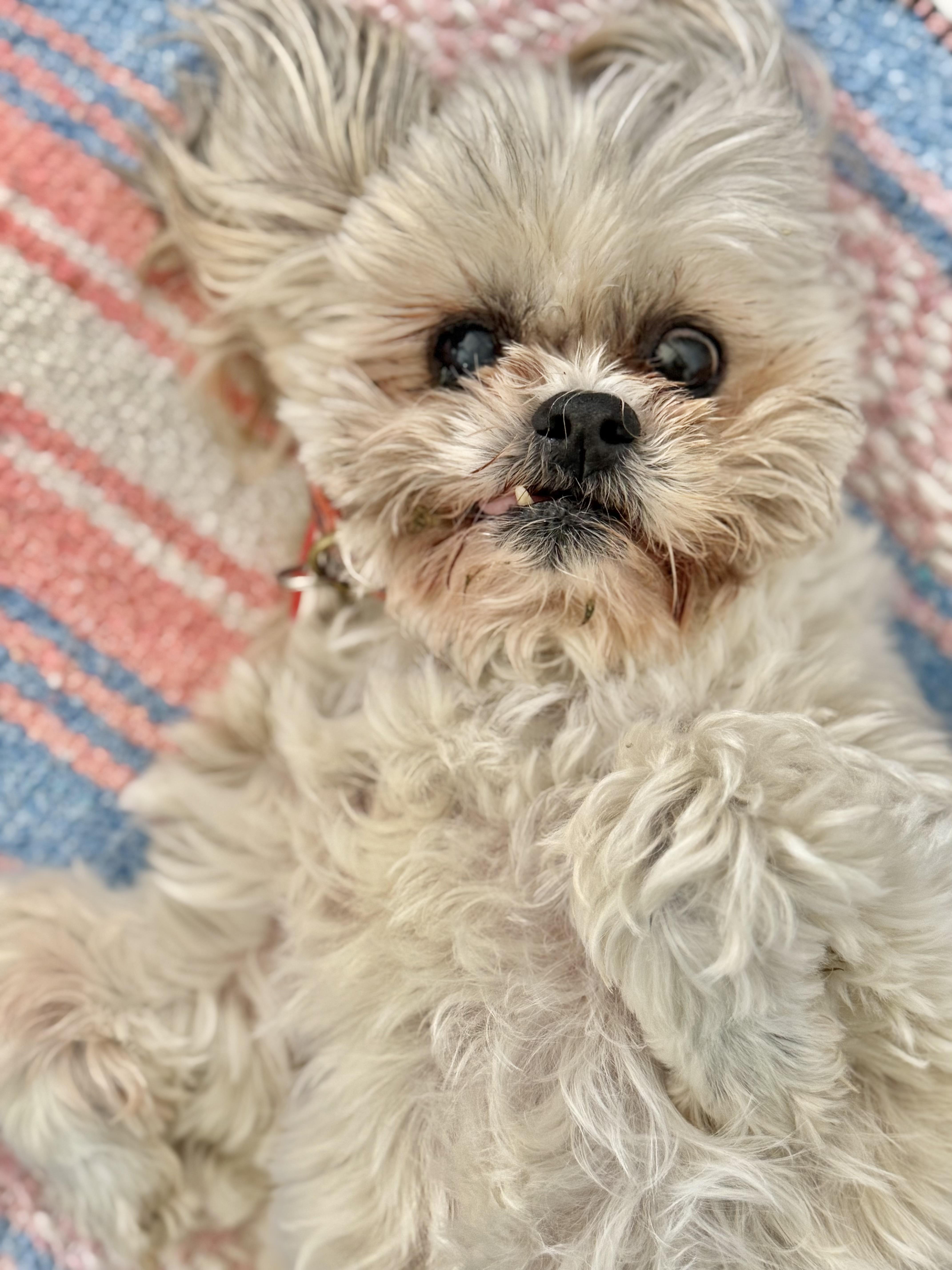 Lil Mama, Senior Female unknown