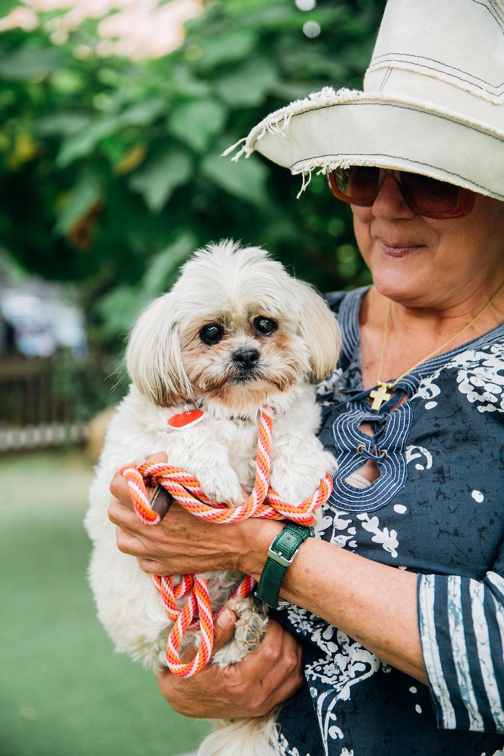 Hi Im Lil Mama 13 years young My previous owners dropped me off at a high intake shelter because