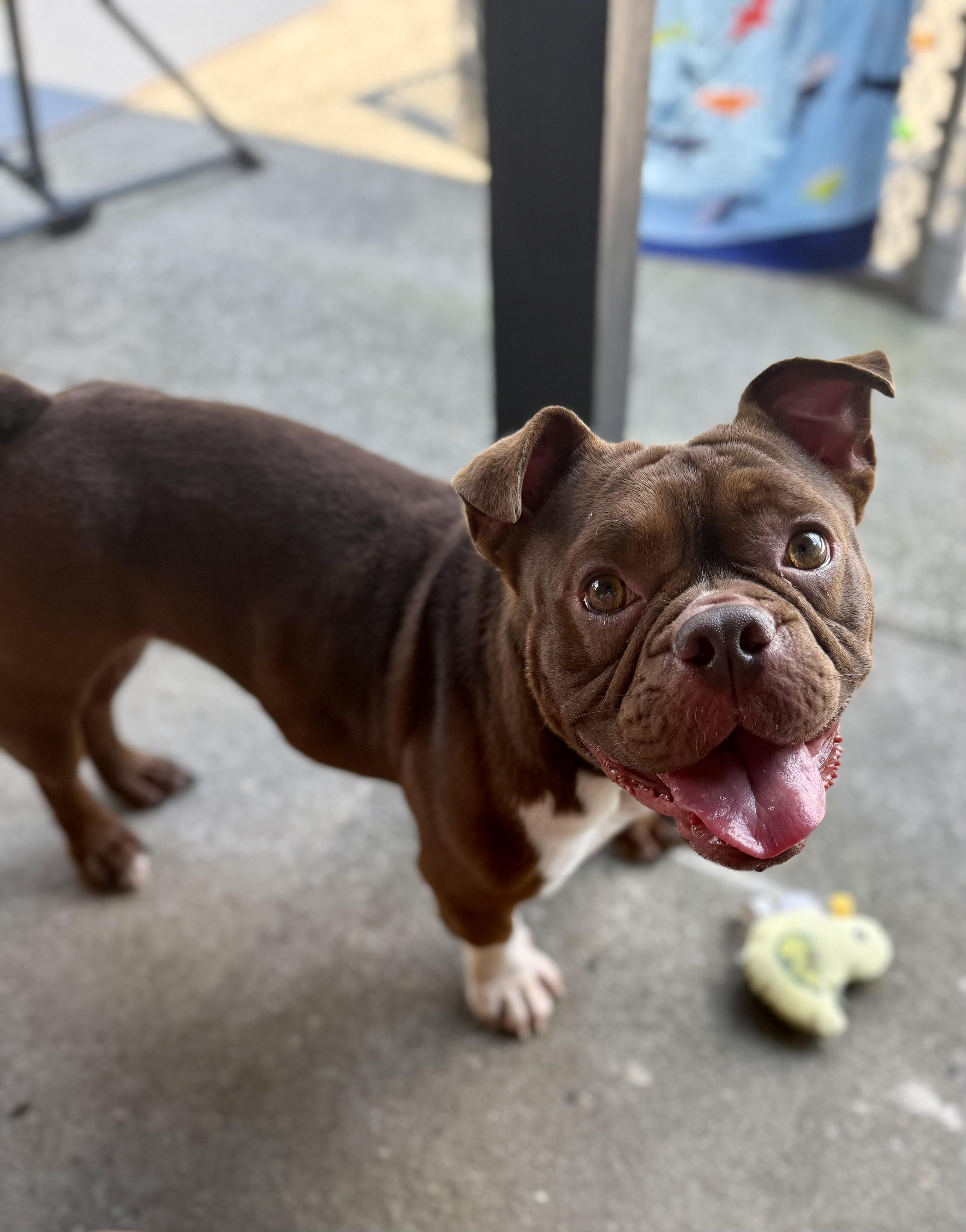 Coco