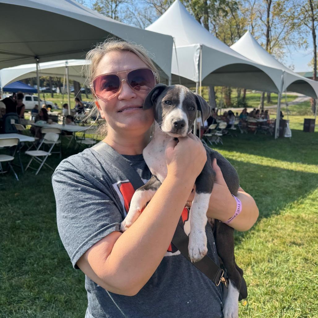 Enlarge Stella, a Adoptable Mixed Breed in Springboro, OH image 4/6