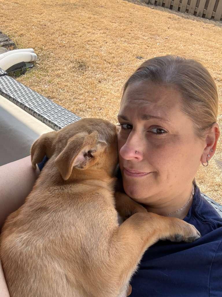 Enlarge Mickey, a ADOPTABLE mixed breed in Manhasset, NY image 5/6