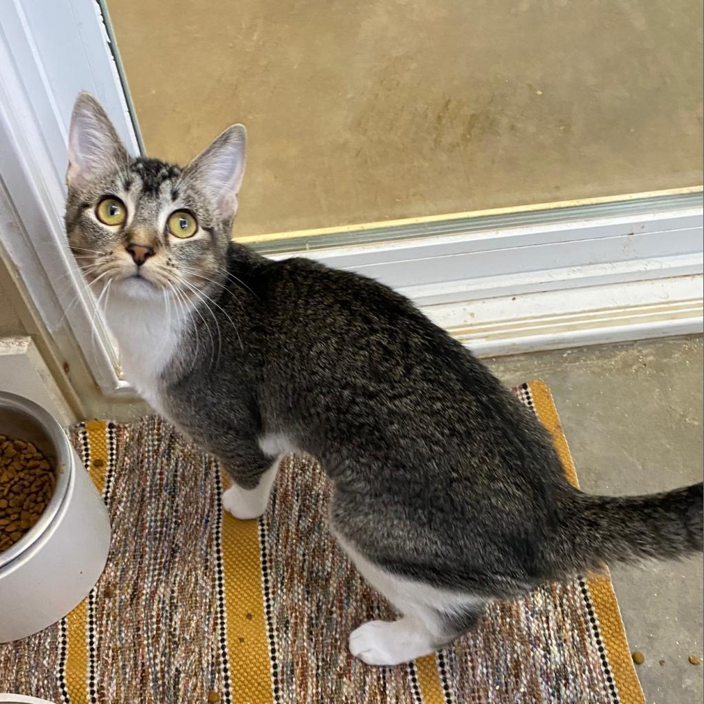 Briar — thumbnail 5