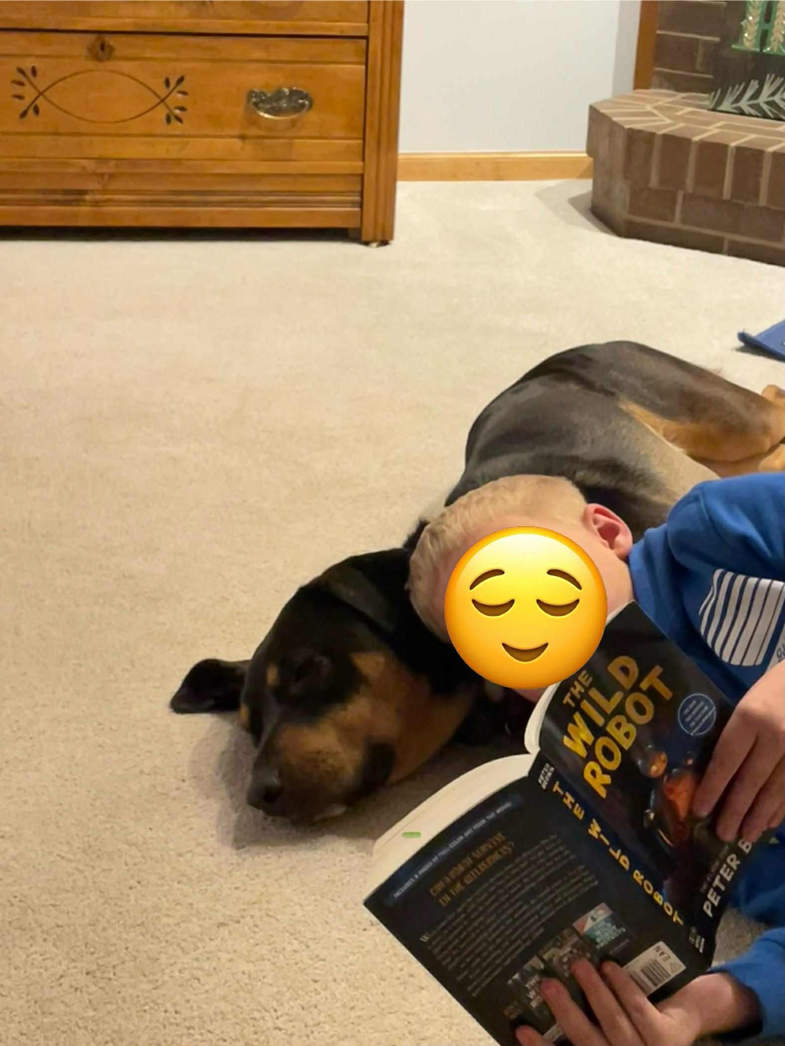 Maple, a Adopted mixed breed in Creston, IA image 3/5