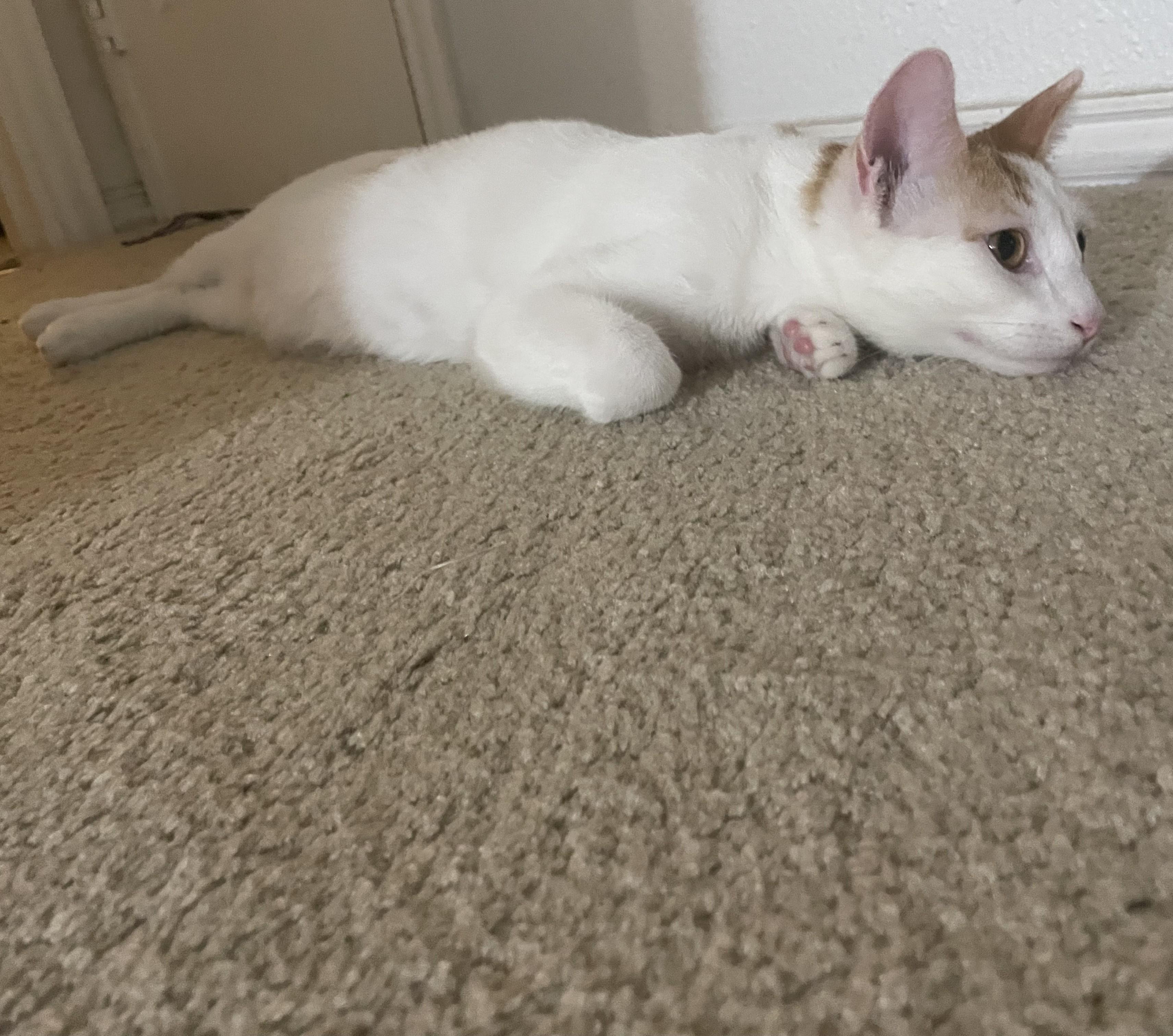 Sweetsweet thumbnail 3