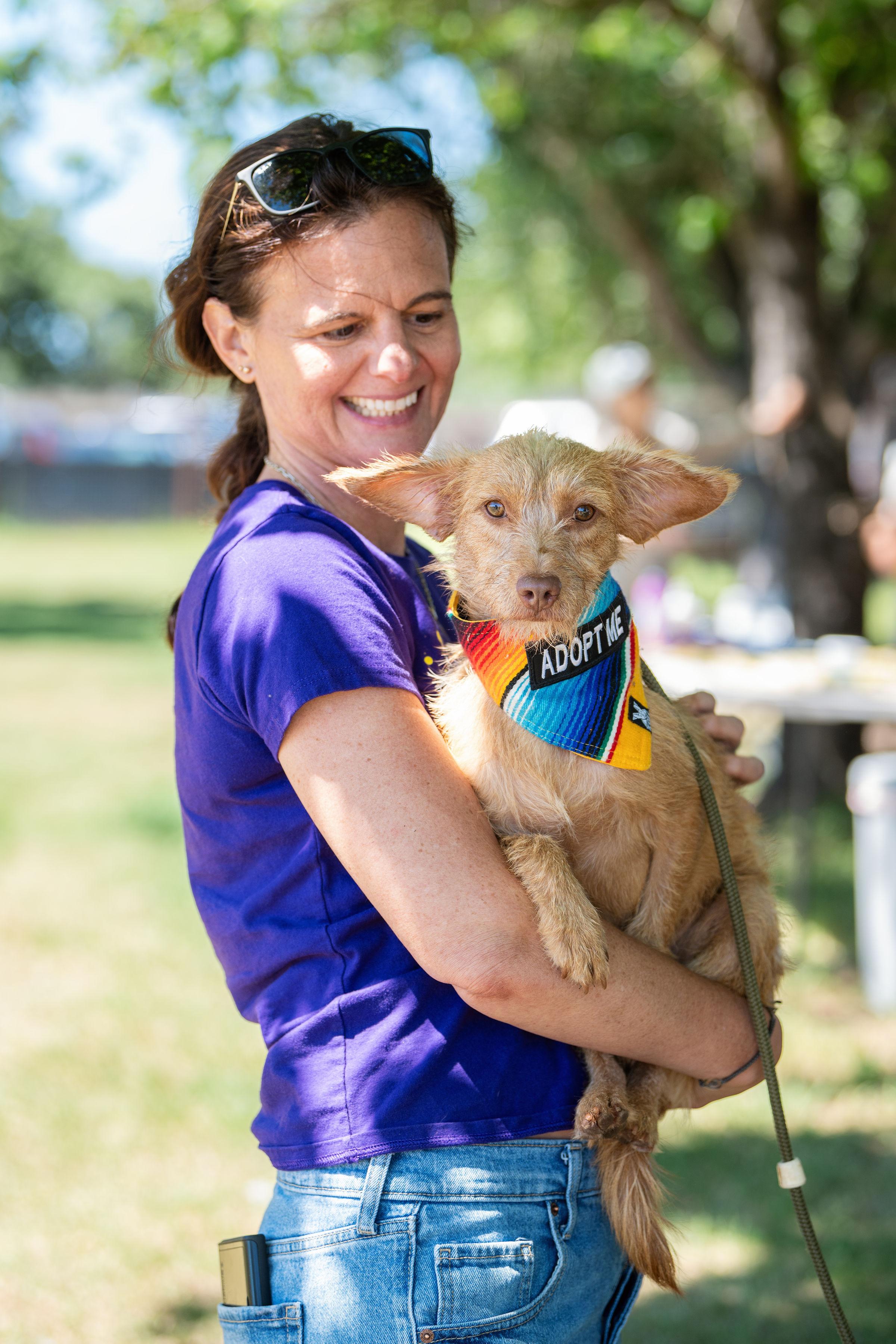 Enlarge Aquiles, an adopted mixed breed in Santa Rosa, CA image 4/4