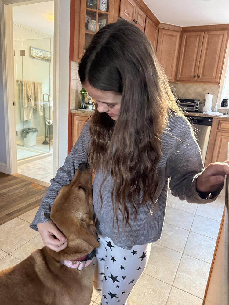 Peanut, Adoptable, Adult Female Mixed Breed.