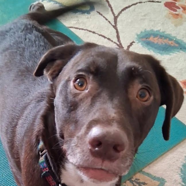 Hershey (20260126-09)