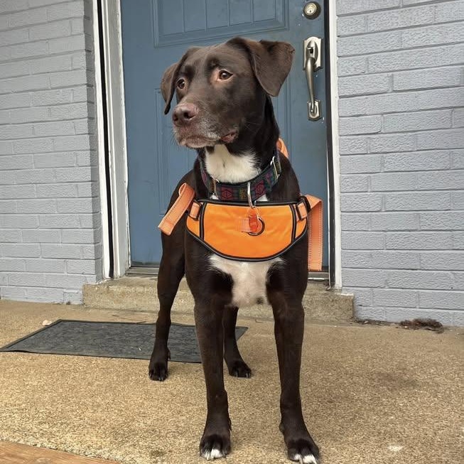 Hershey (20260126-09) — thumbnail 3