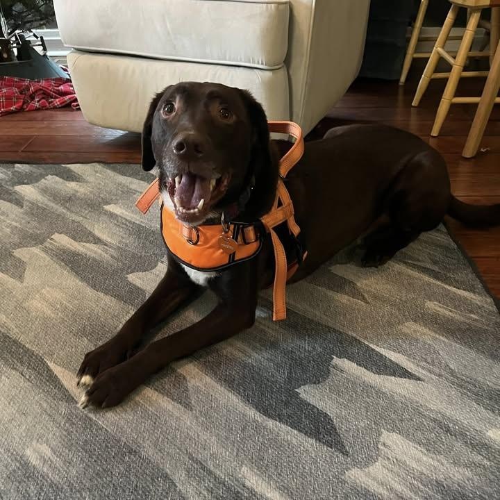 Hershey (20260126-09) — thumbnail 4