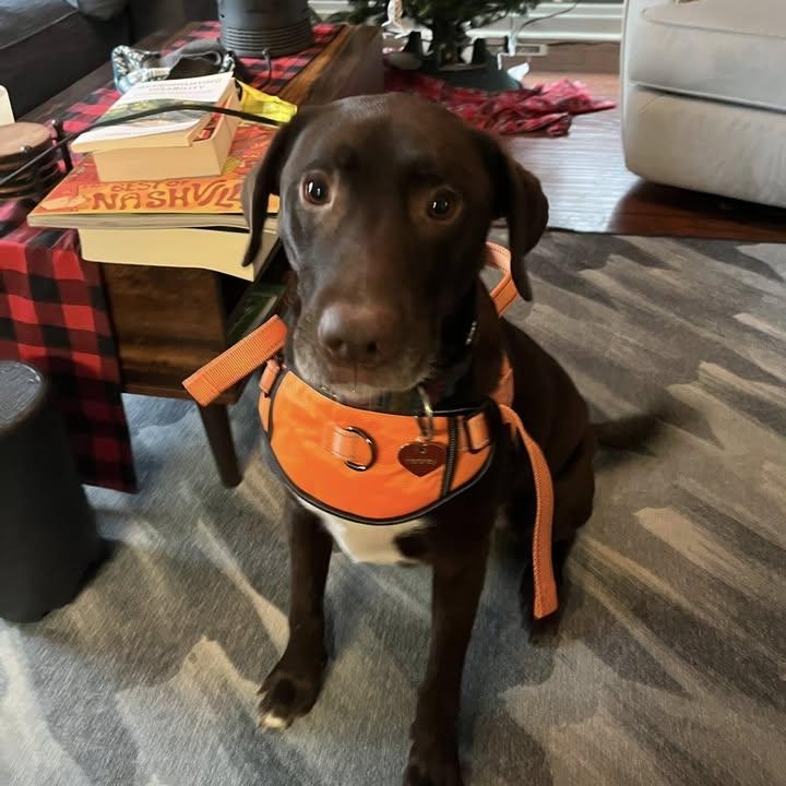 Hershey (20260126-09) — thumbnail 6