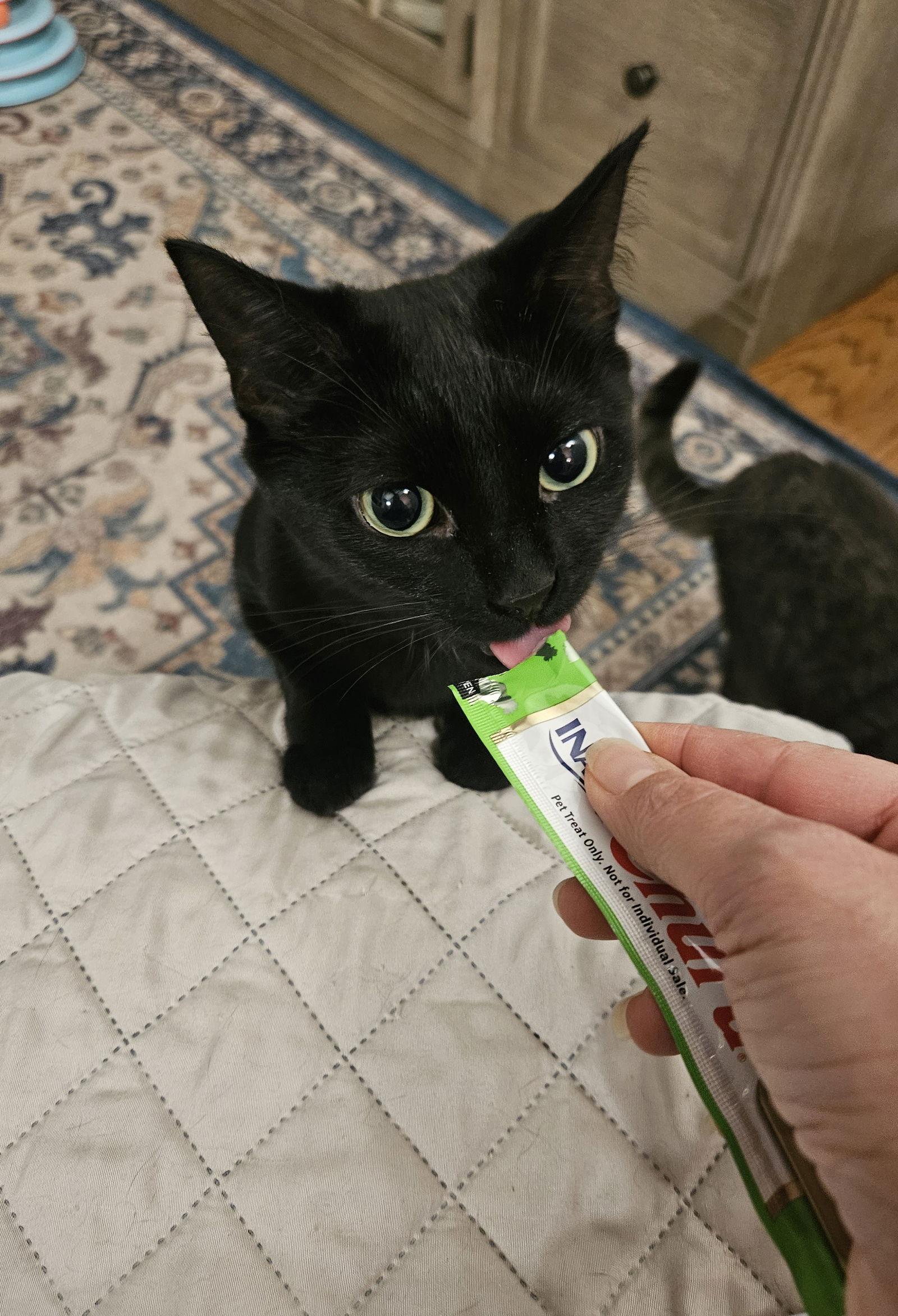 HONEY — thumbnail 3