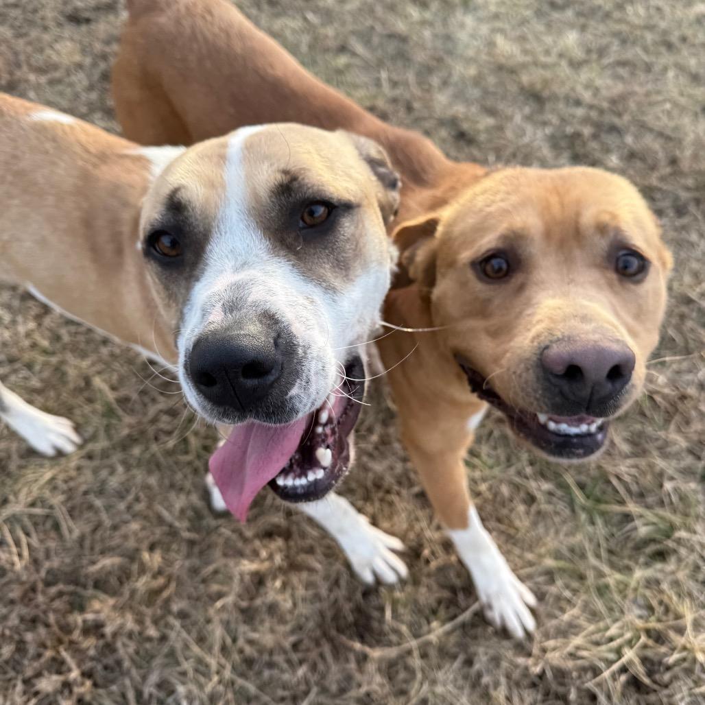 Lady — thumbnail 2