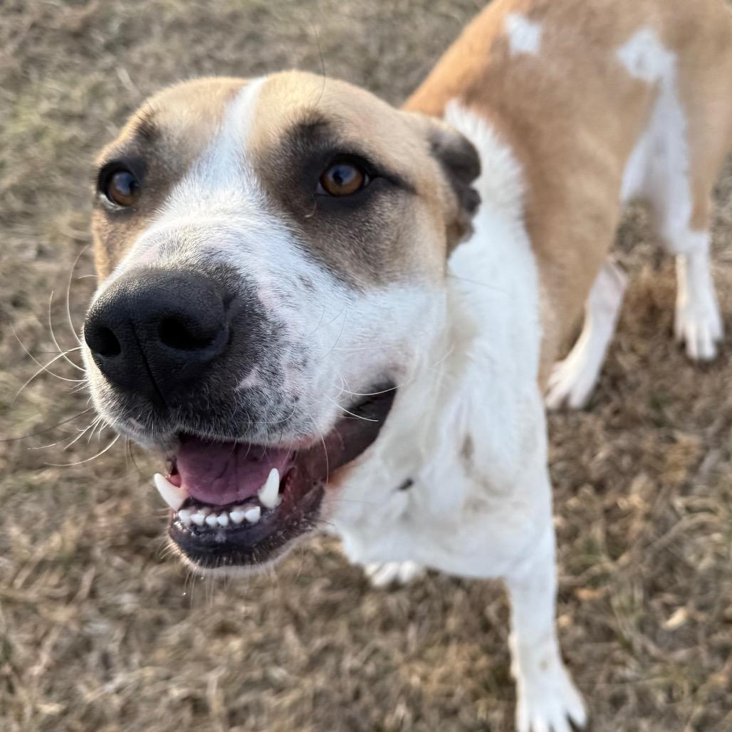 Lady — thumbnail 3