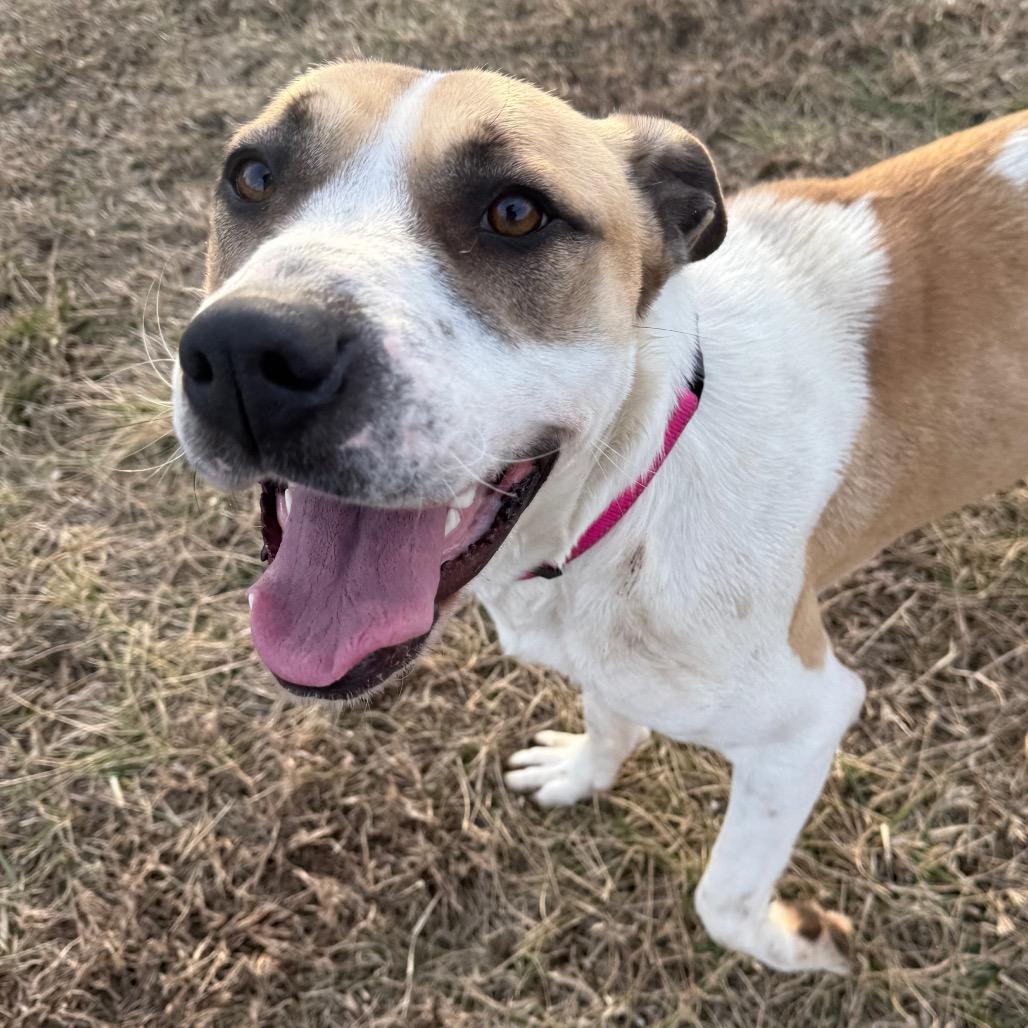 Lady — thumbnail 4